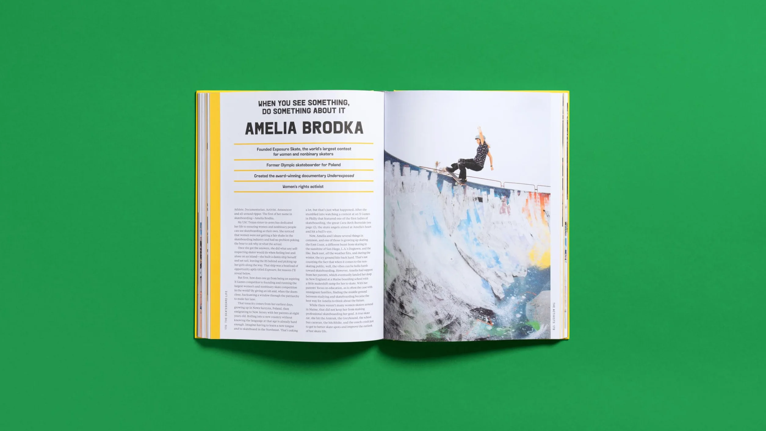 The Skateboard Life: Movers, Shakers, Makers & Rulebreakers: The Quintessential Story of Skateboard Culture