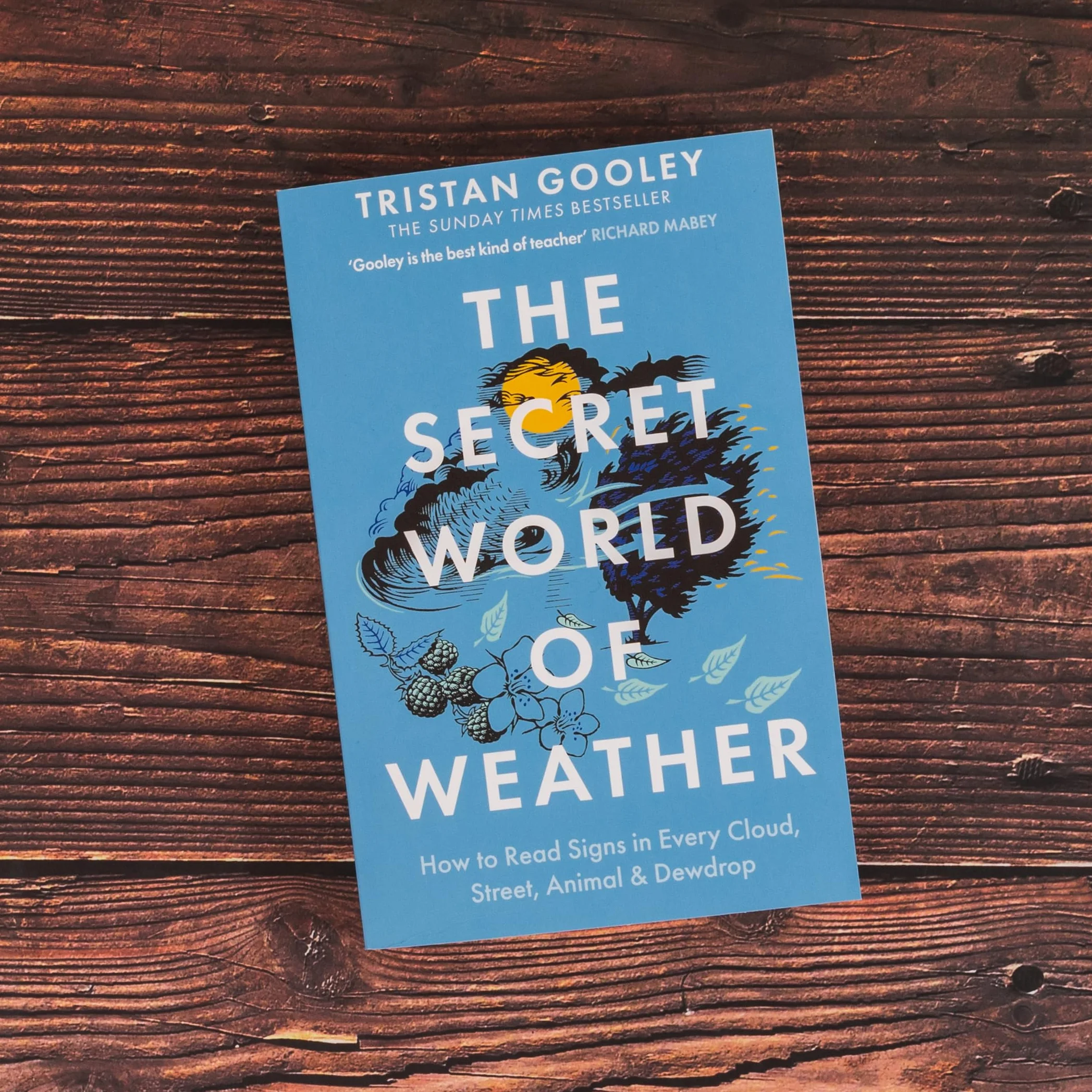 The Secret World of Weather: A must-have for all nature lovers - perfect reading for your springtime adventures