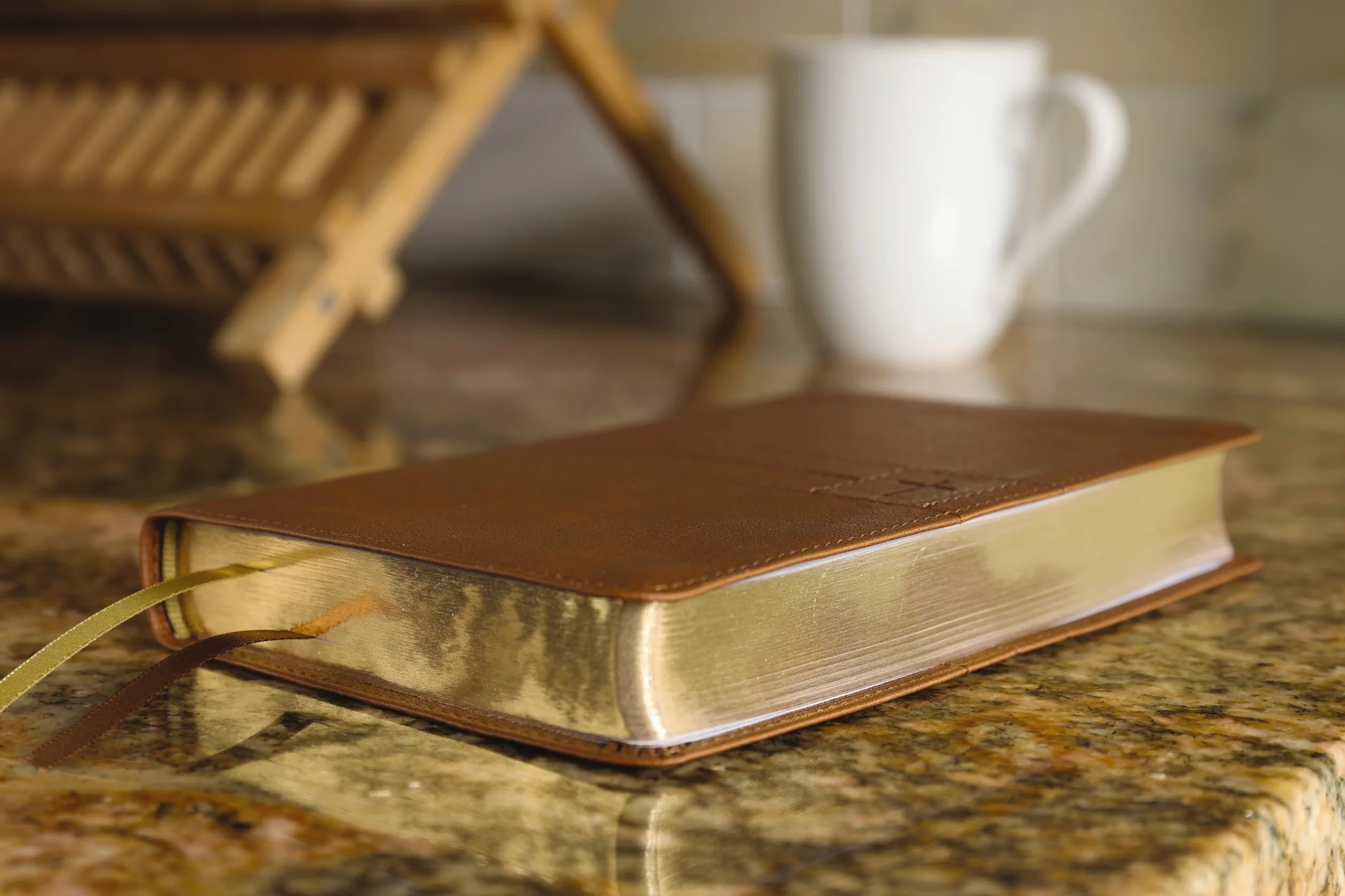 Niv, Thinline Bible, Compact, Leathersoft, Brown, Red Letter, Comfort Print: New International Version, Brown, Leathersoft, Thinline, Red Letter, Comfort Print