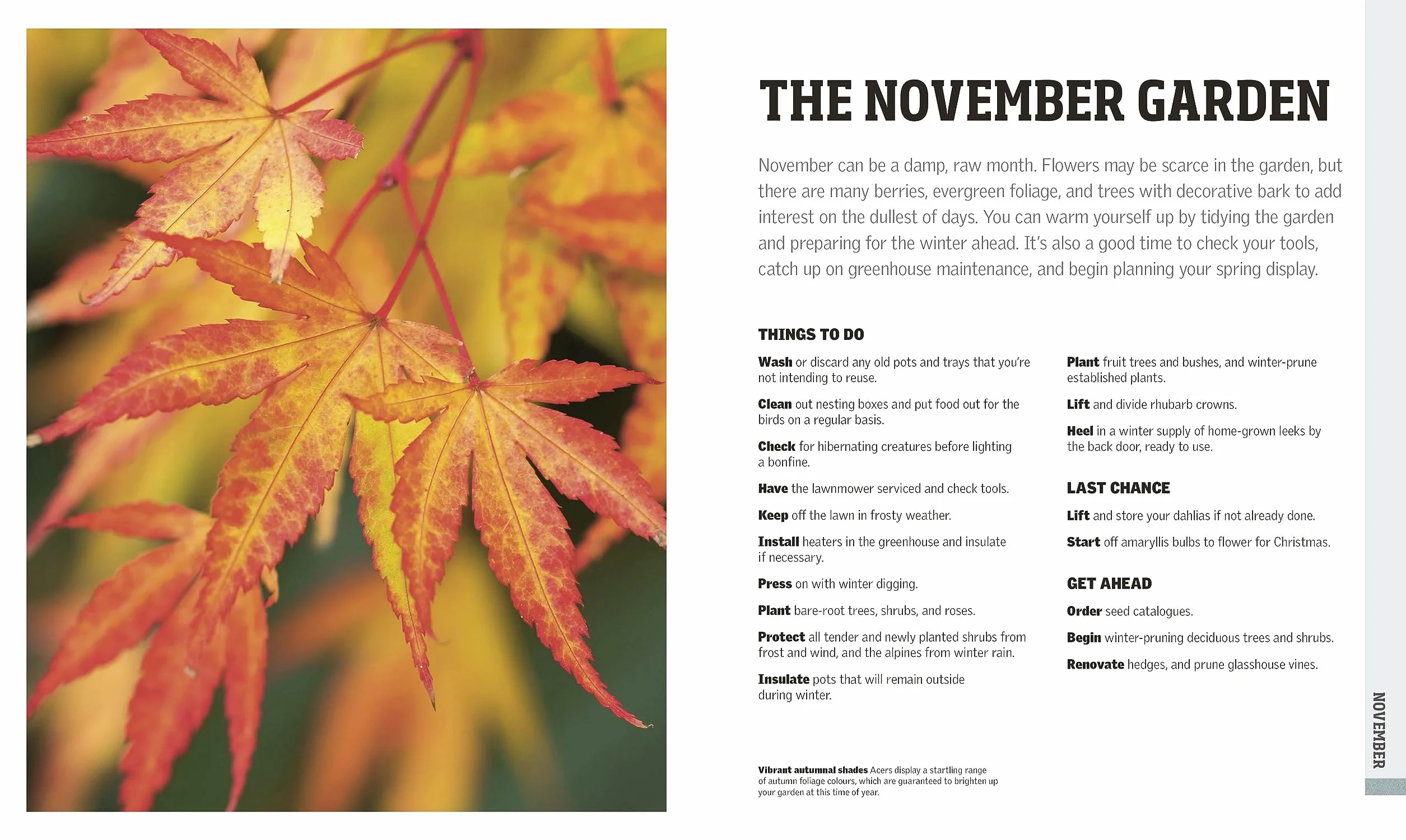 RHS Gardening Through the Year: New Edition - Month-by-month Planning Instructions and Inspiration