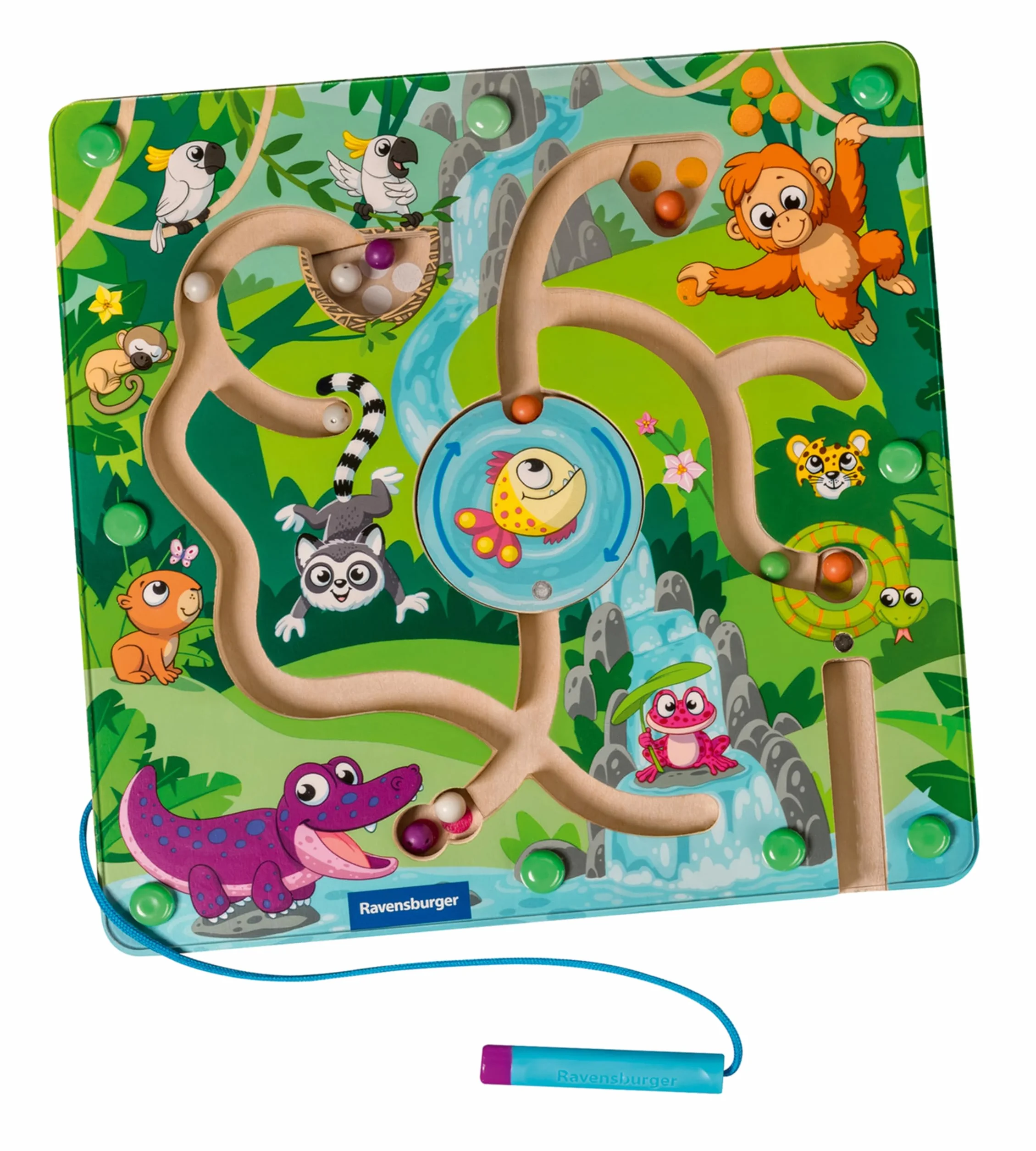 Ravensburger -Play + - Drewniany Labirynt magnetyczny w dżungli - Od 18 miesięcy - Wersja francuska - 34018