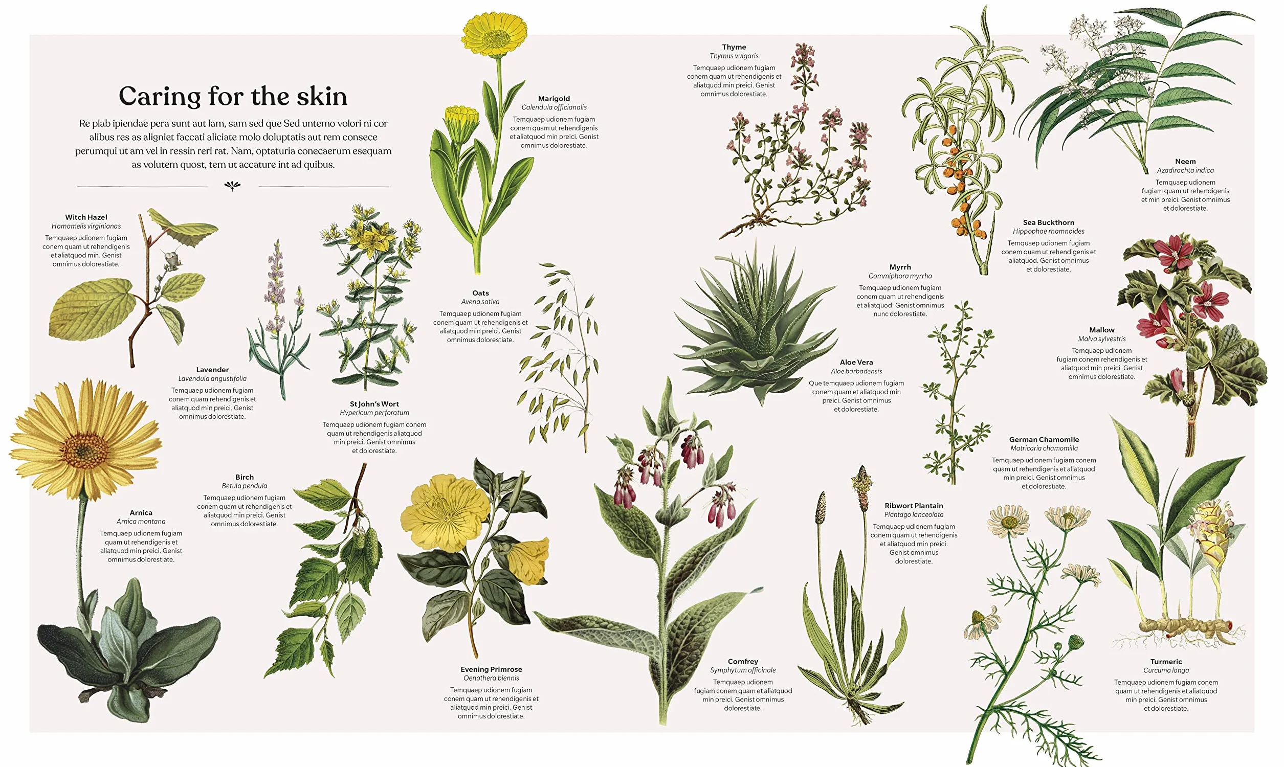 The Herb Book: The Stories, Science, and History of Herbs