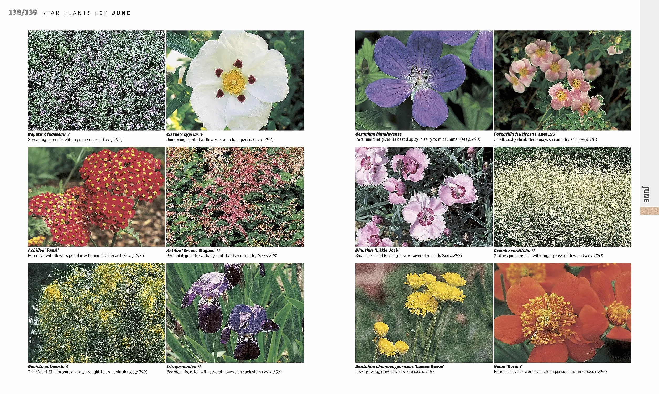 RHS Gardening Through the Year: New Edition - Month-by-month Planning Instructions and Inspiration