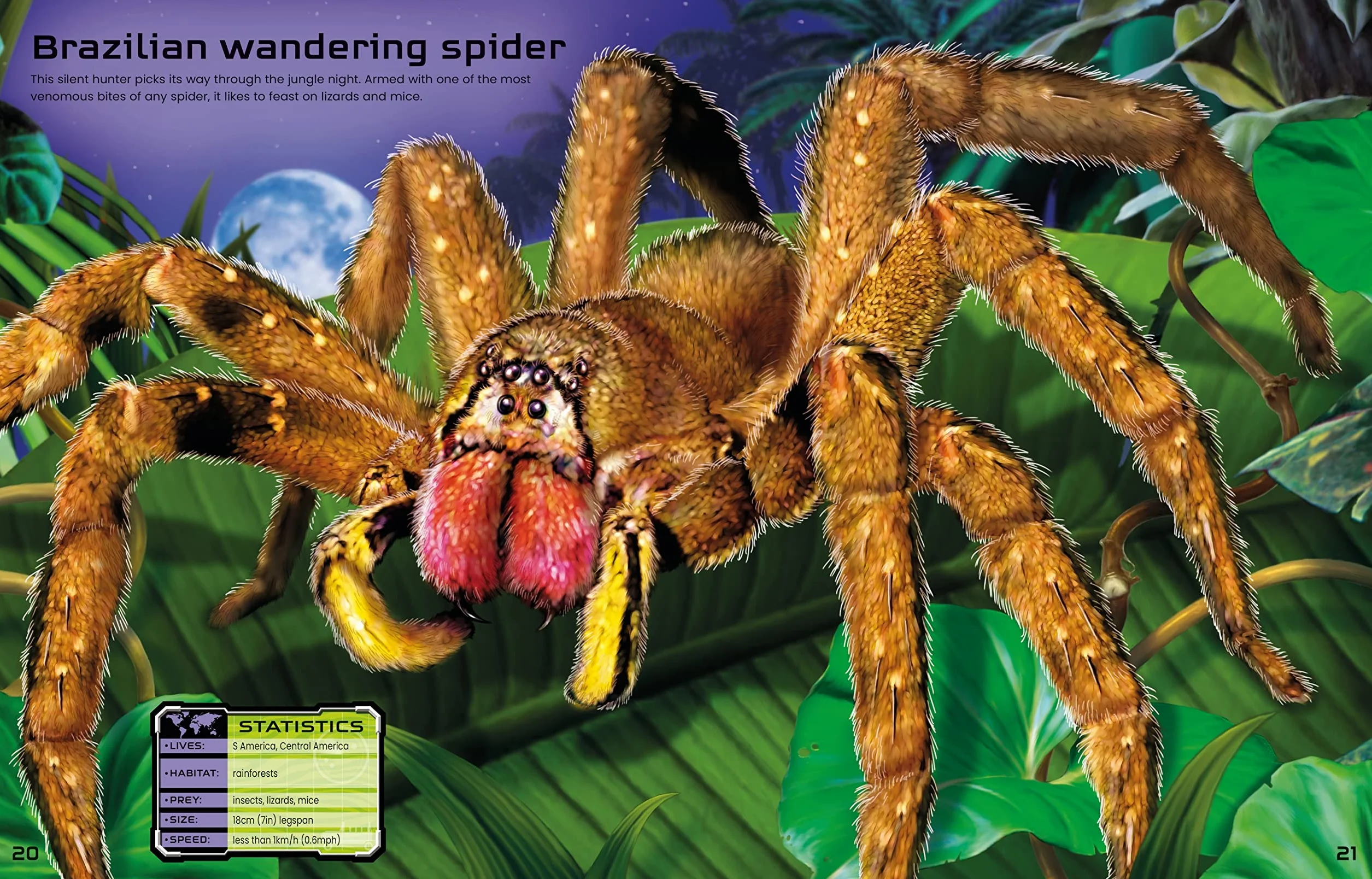 Build Your Own Deadly Animals (Build Your Own Sticker Book): 1