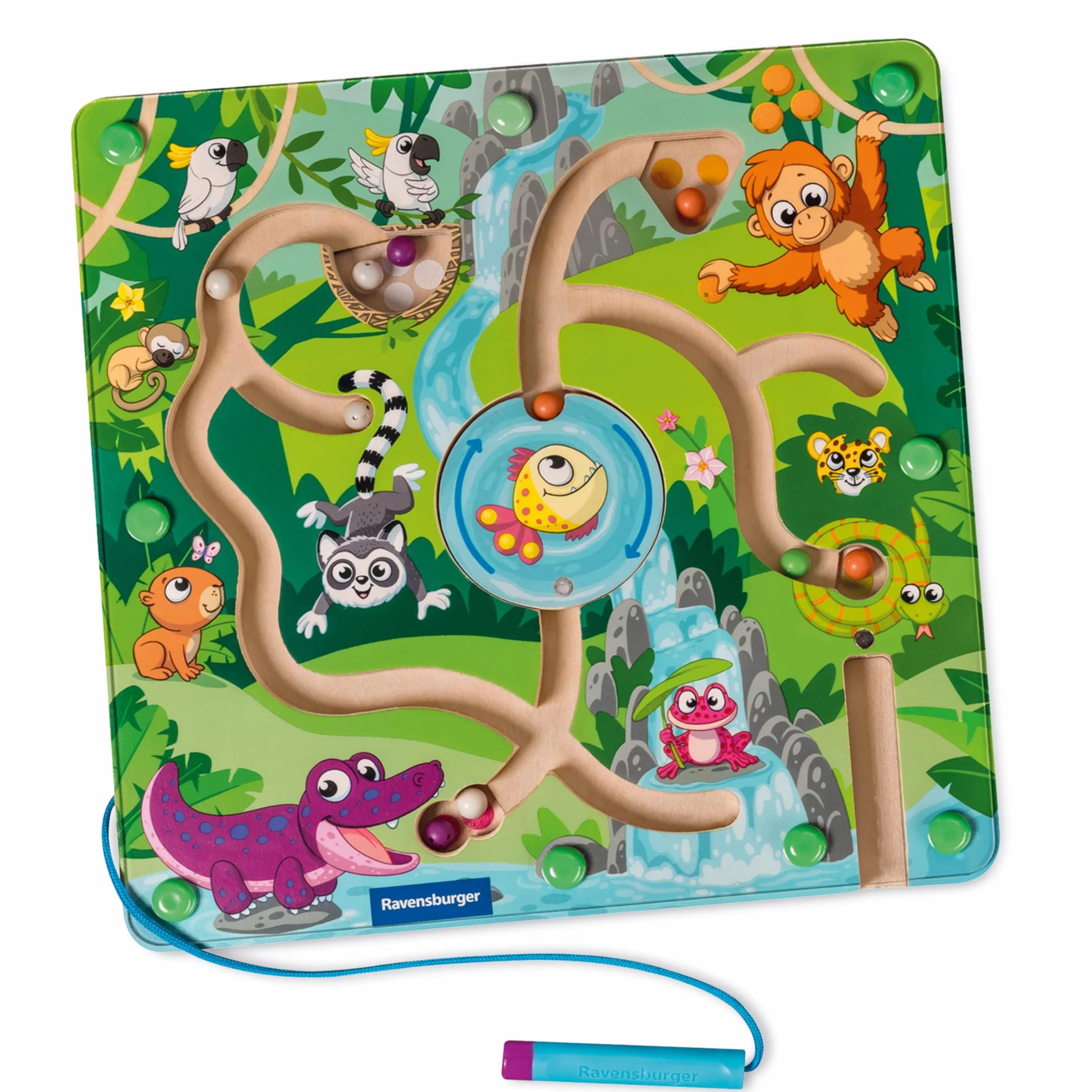 Ravensburger -Play + - Drewniany Labirynt magnetyczny w dżungli - Od 18 miesięcy - Wersja francuska - 34018