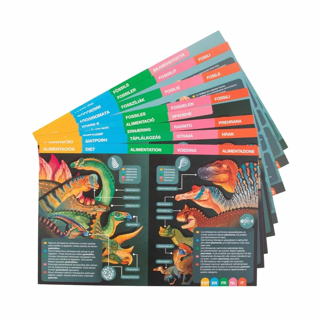APLI Kids 20139 - Edukacyjny zestaw magnetyczny dinozaurów, plansza z 44 magnesami i kartami objaśniającymi, dla dzieci od 5 lat