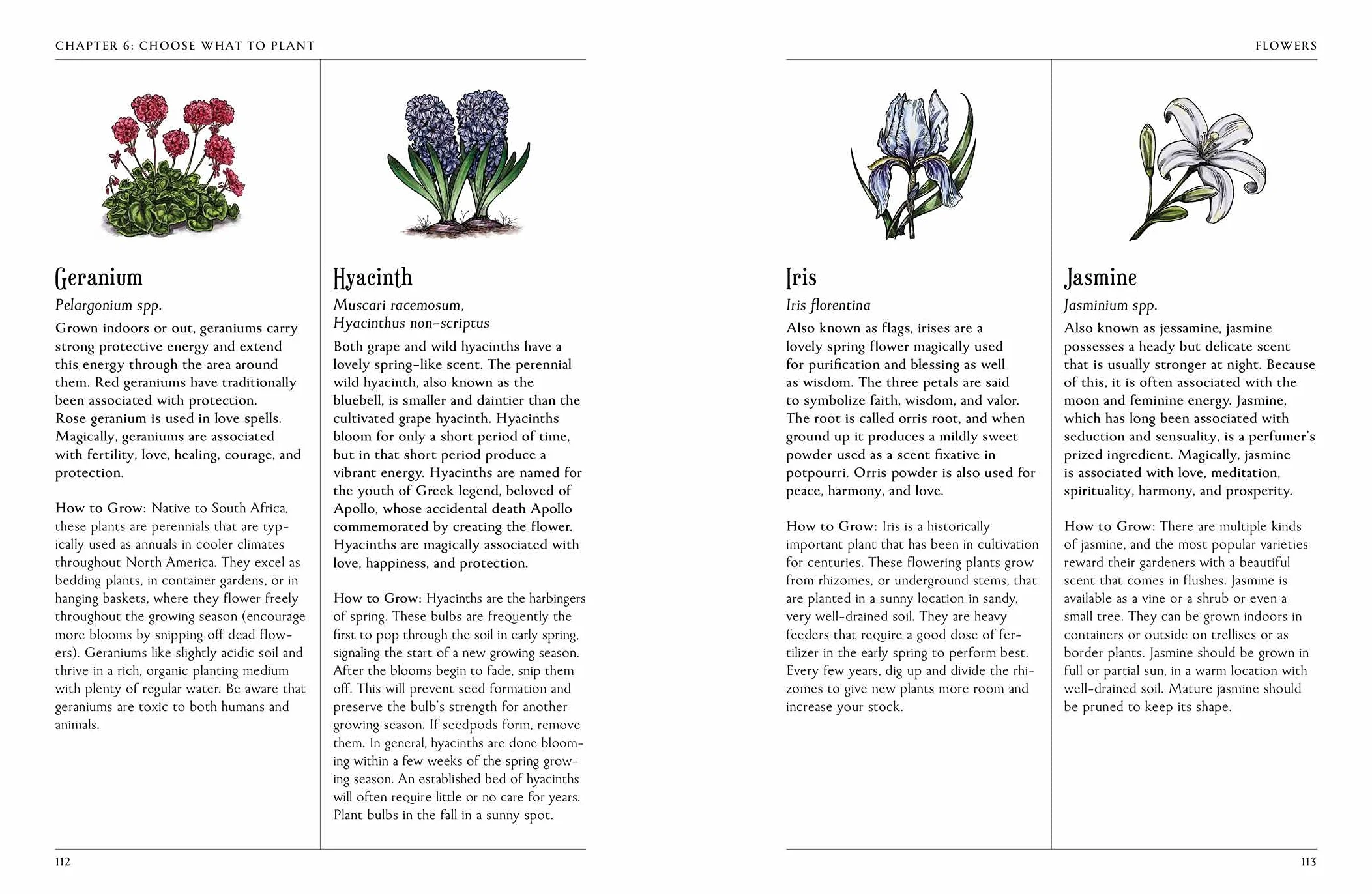 The Green Witch's Garden: Your Complete Guide to Creating and Cultivating a Magical Garden Space
