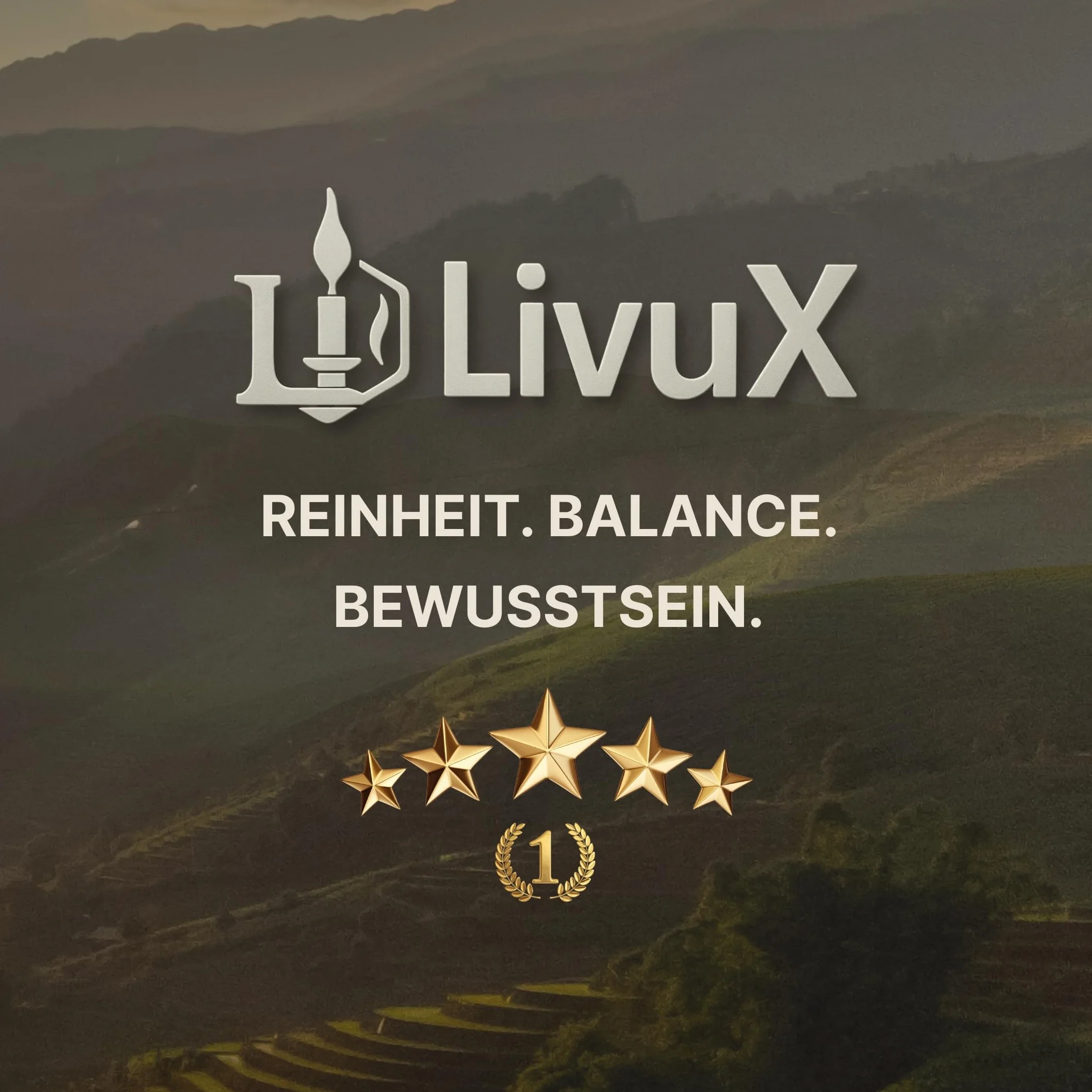 LivuX 50 tabletek węgla kadzidłowego 33 mm – szybko zapalający się węgiel do wędzenia, 5 rolek po 10 tabletek węglowych, idealny do spalania kadzideł, żywic i ziół 1202