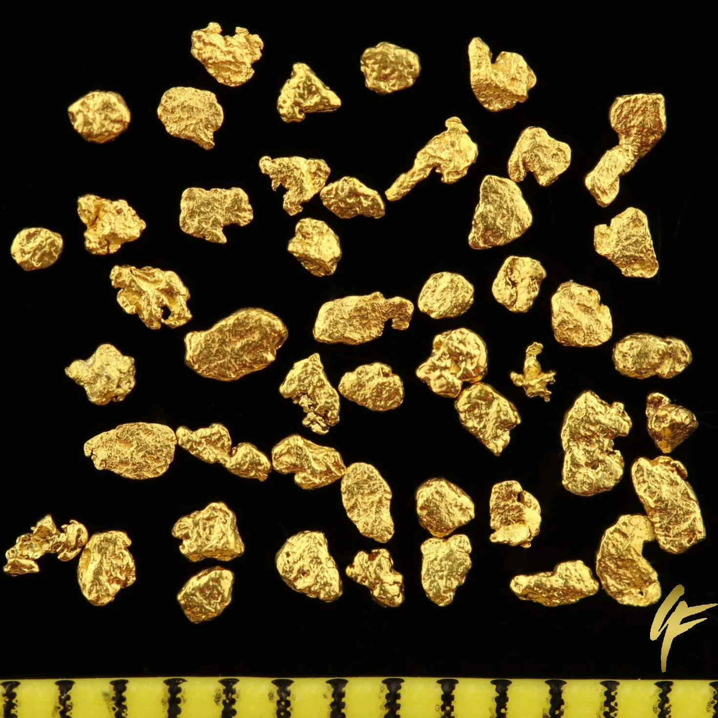 Gold-Fieber 50 sztuk nuggetsów z prawdziwego złota z Alaski z certyfikatem autentyczności