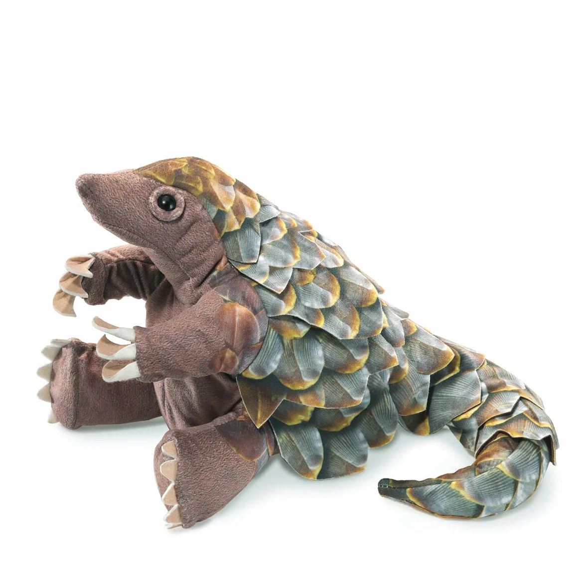 Szyszki jodłowe/pangolin