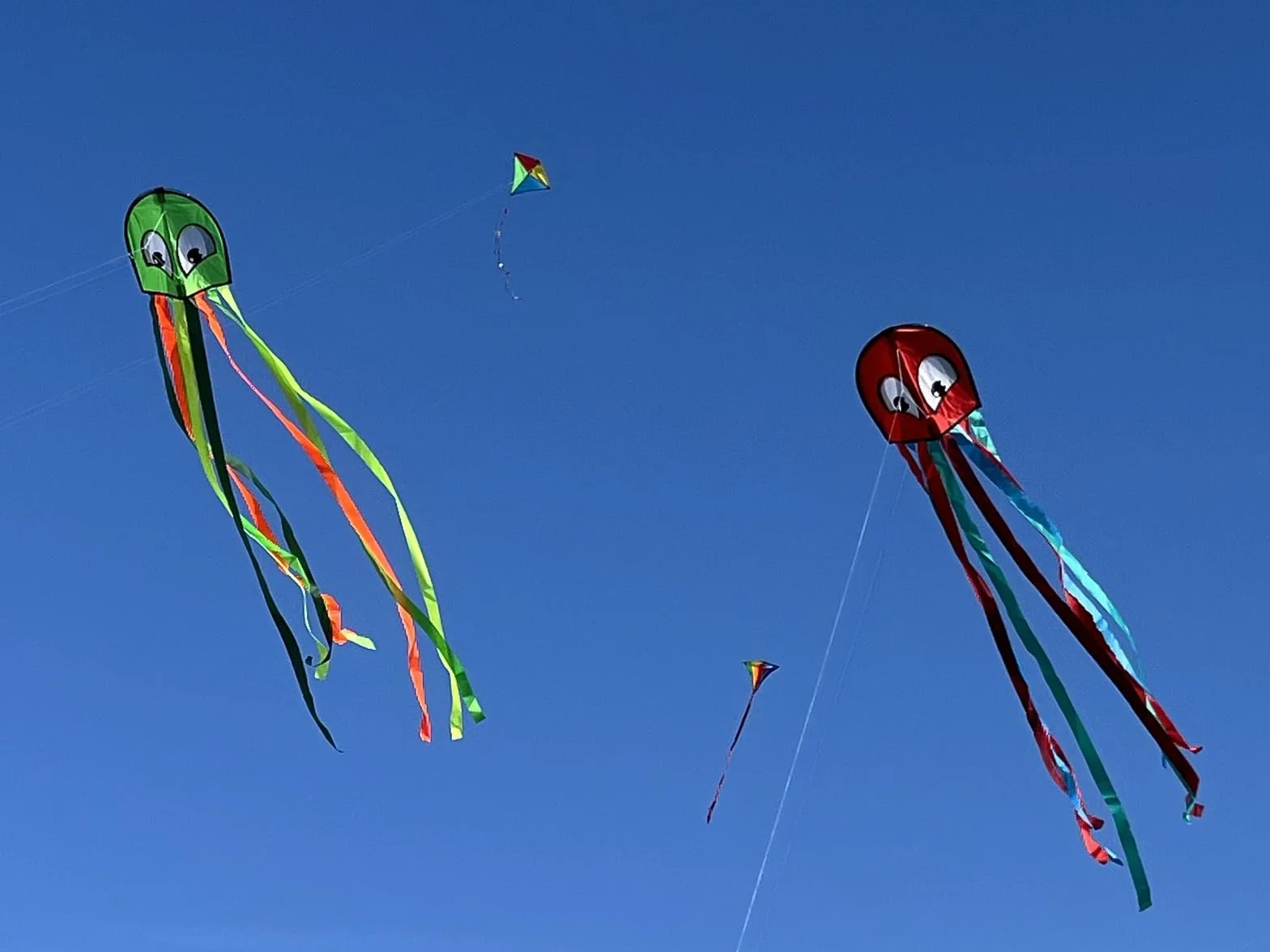 Günther Flugspiele 1163 - Latawiec jednolinkowy Octopus, ok. 250 x 33 cm, latawiec dla dzieci wykonany z wytrzymałego poliestru, z uchwytem i sznurkiem, wieku od 4 lat, w asortymencie w 2 kolorach
