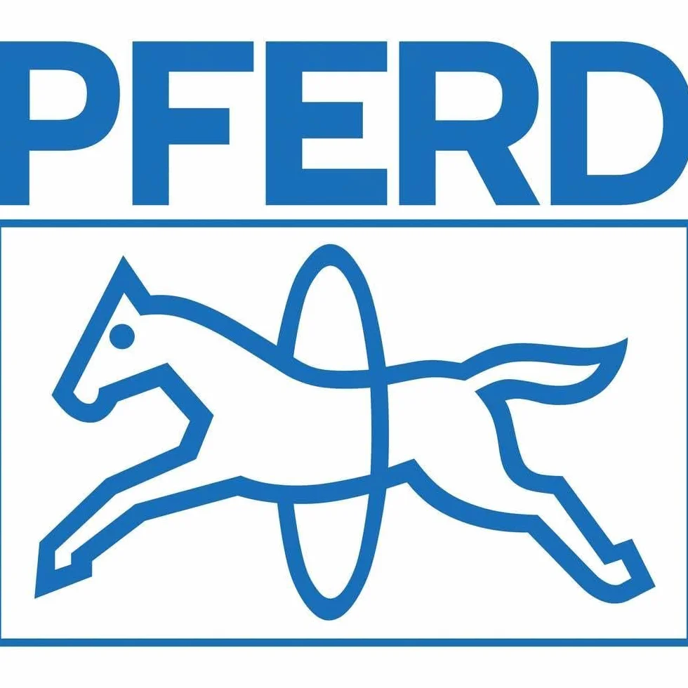 PFERD Okrągły tarnik do drewna, 250 mm, okrągły, spiczasty pilnik, ostrze ścierne na całym obwodzie H2, wraz z ergonomicznym zeszytem pilników, 11234257 – nadaje się specjalnie do uniwersalnych prac