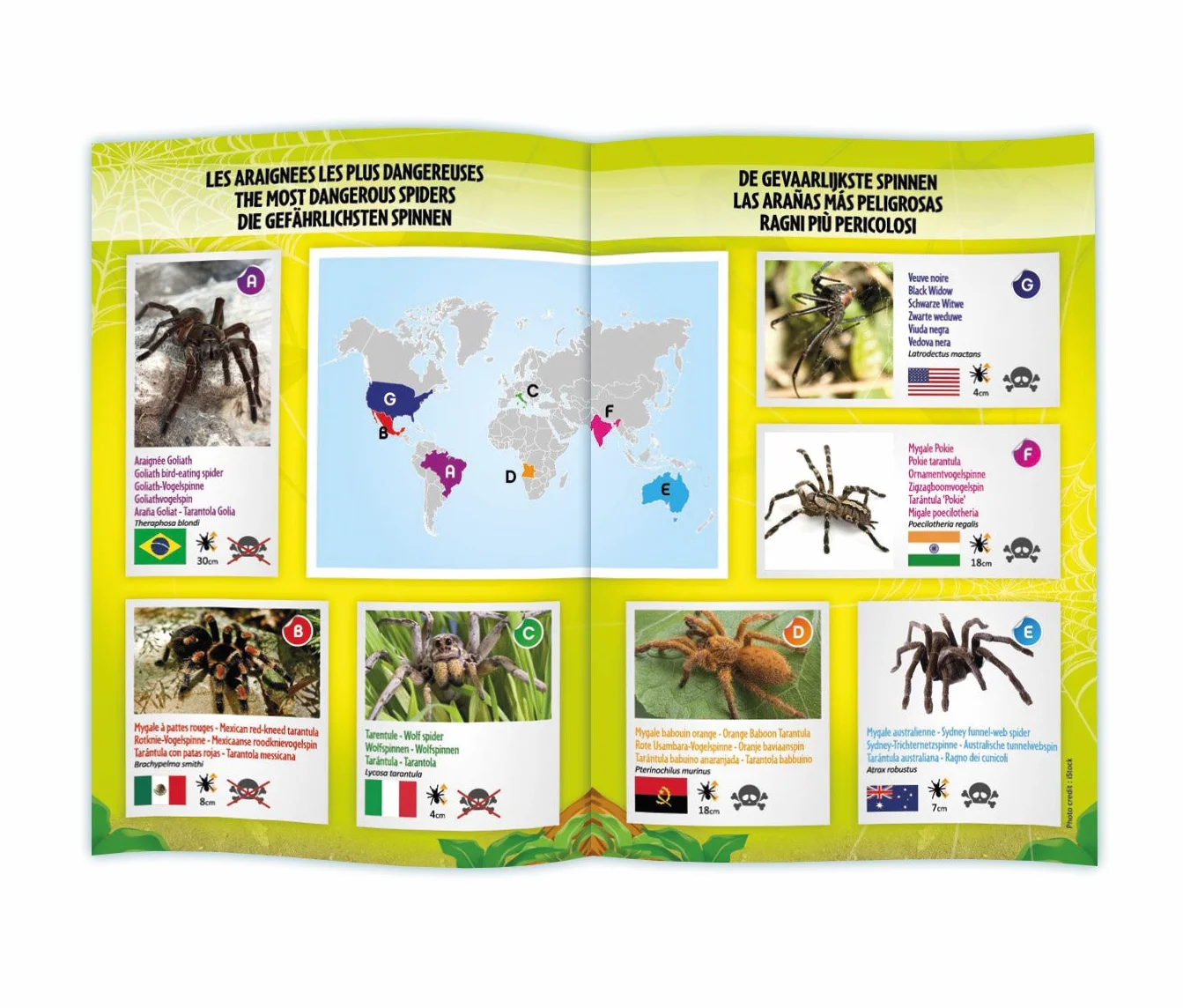 Buki – 37291 – tarantula sterowana radiowo