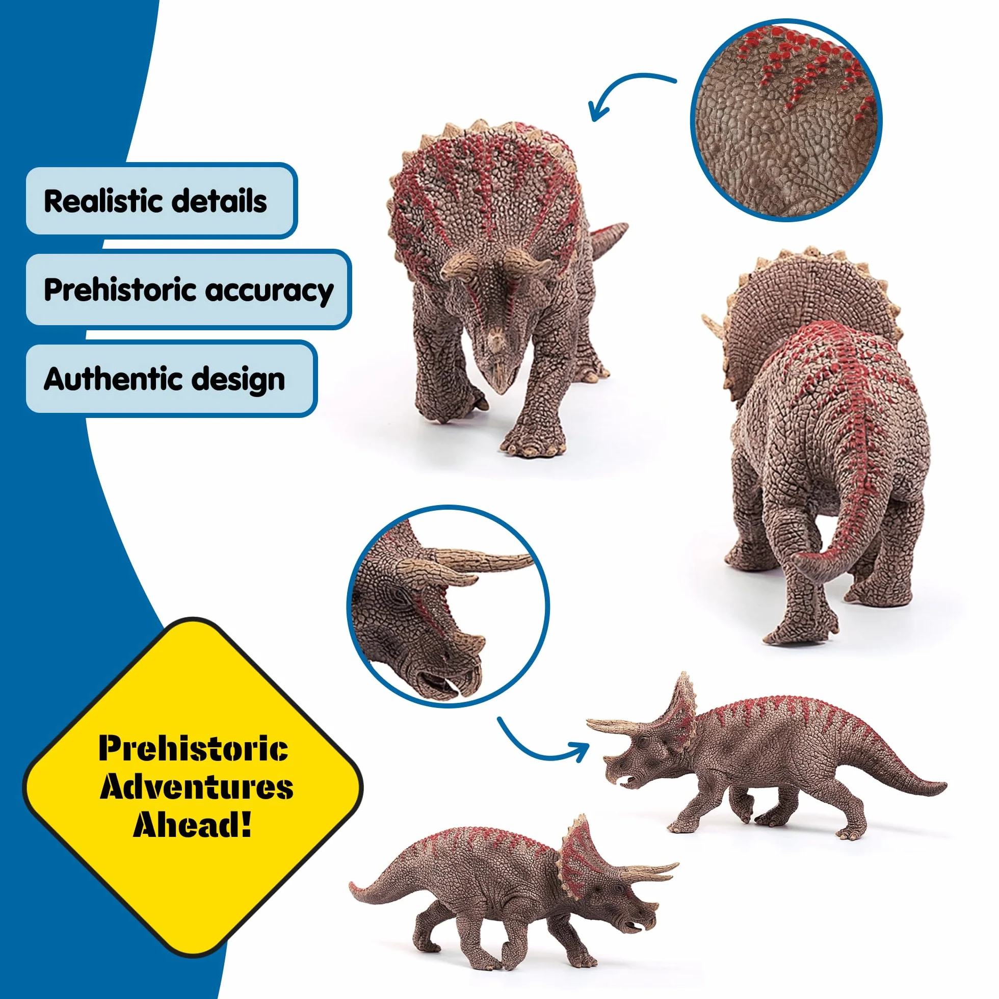 Triceratops
