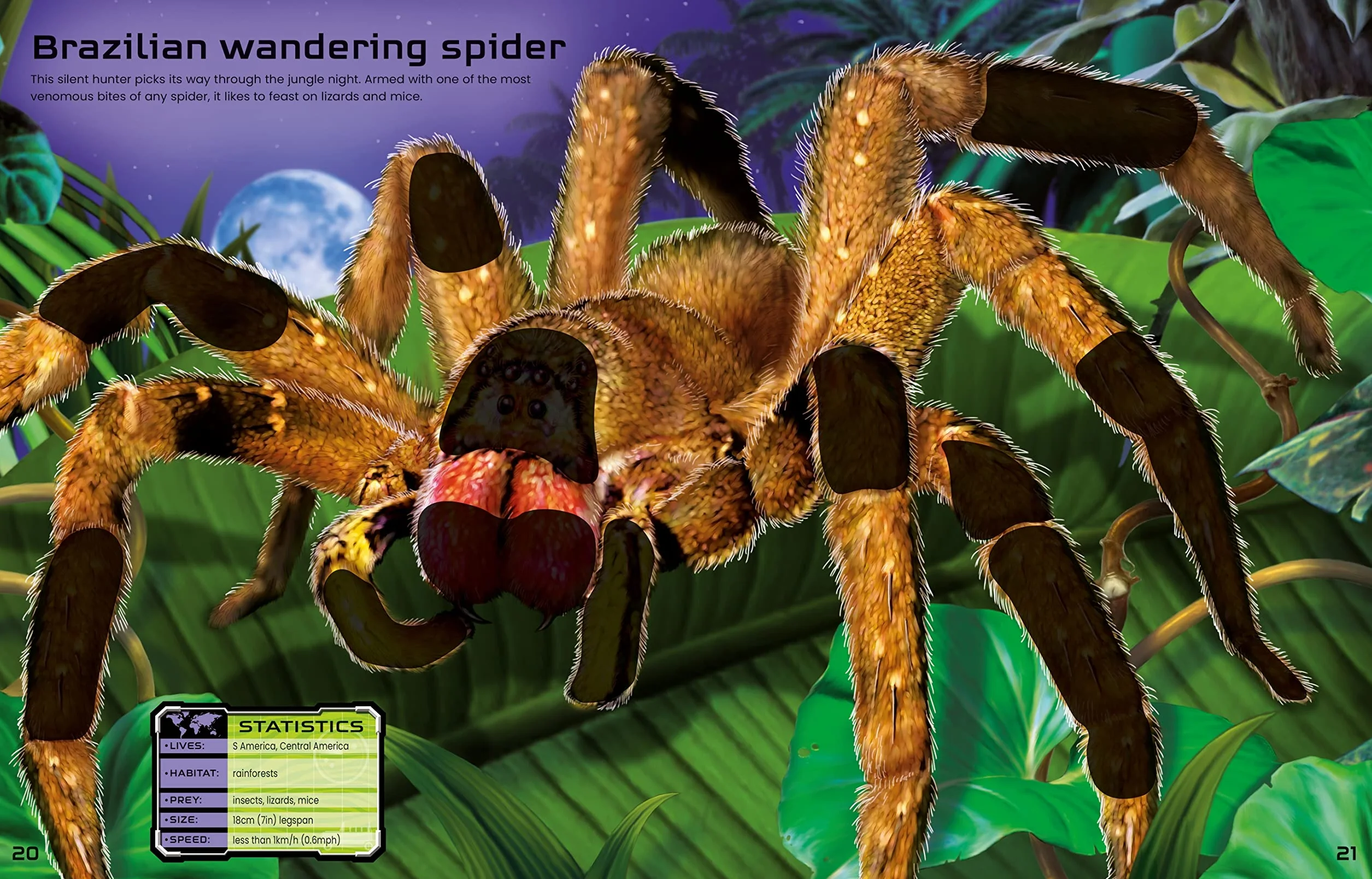 Build Your Own Deadly Animals (Build Your Own Sticker Book): 1