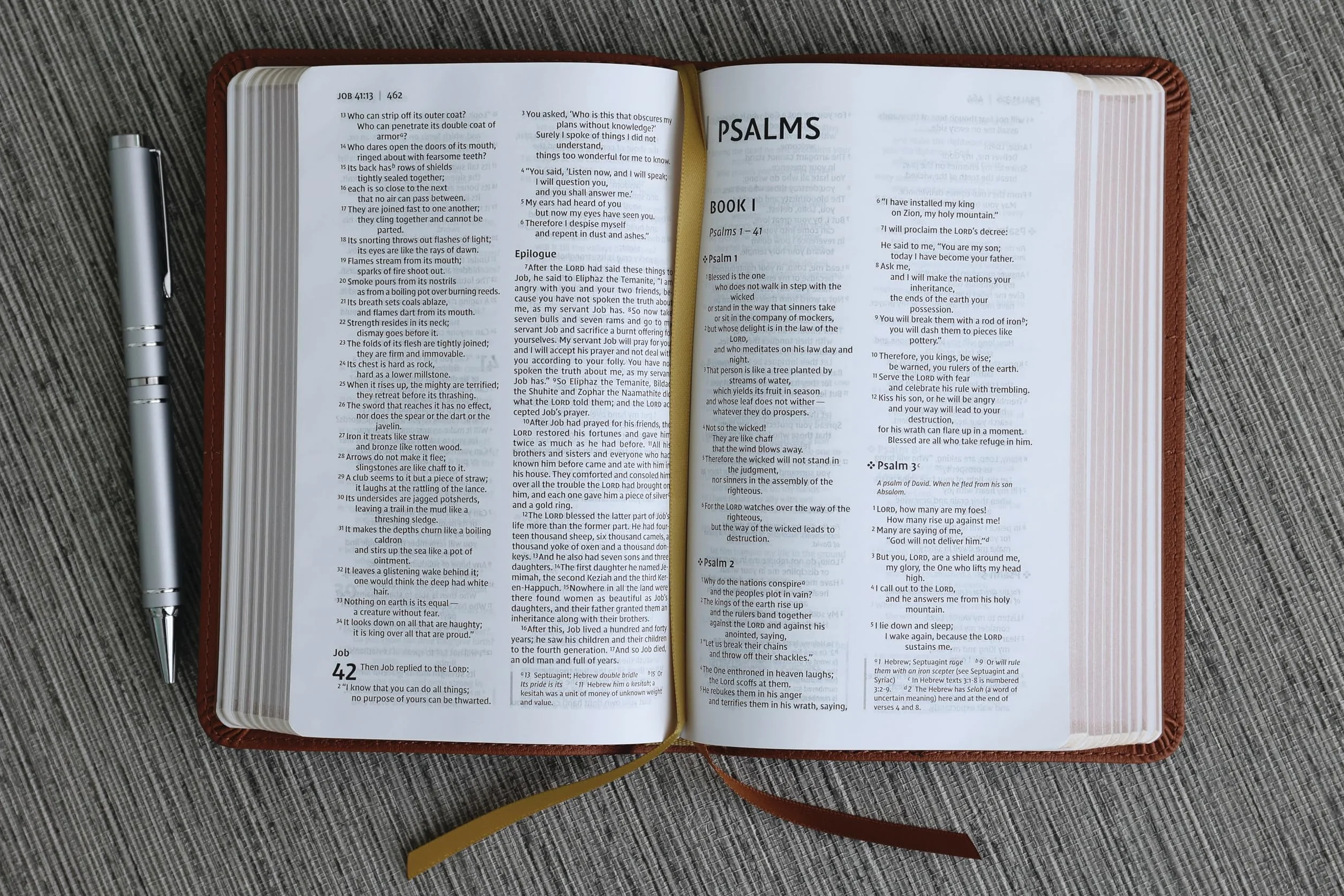 Niv, Thinline Bible, Compact, Leathersoft, Brown, Red Letter, Comfort Print: New International Version, Brown, Leathersoft, Thinline, Red Letter, Comfort Print