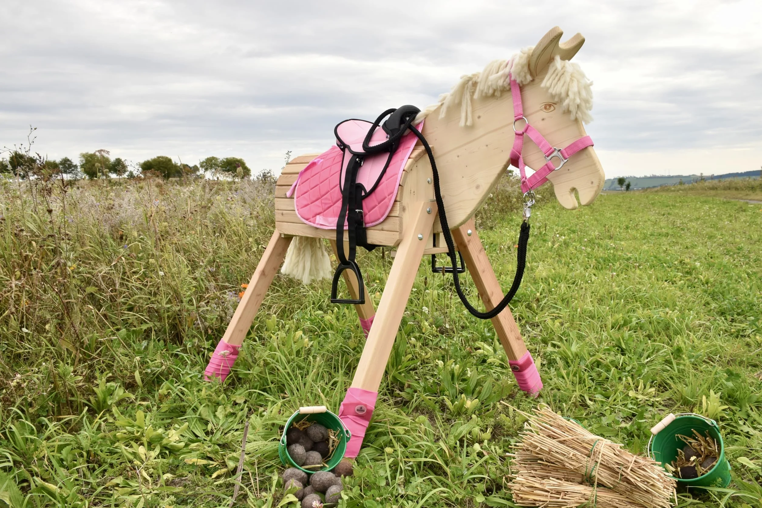 Garden horse "Tom"