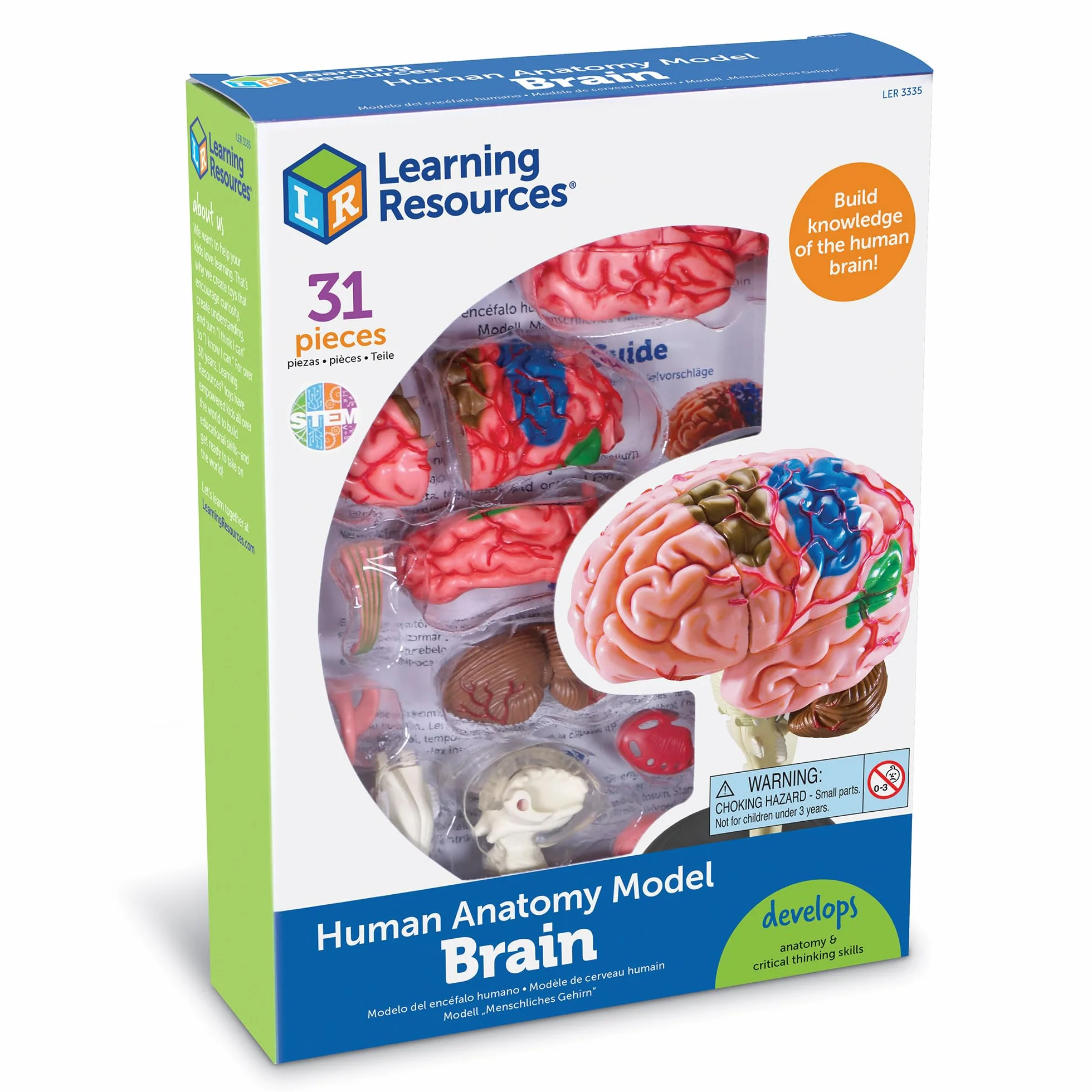 Learning Resources Czlowiek Anatomia Model Czlowiek Mózg 31-Kawałek Zestaw