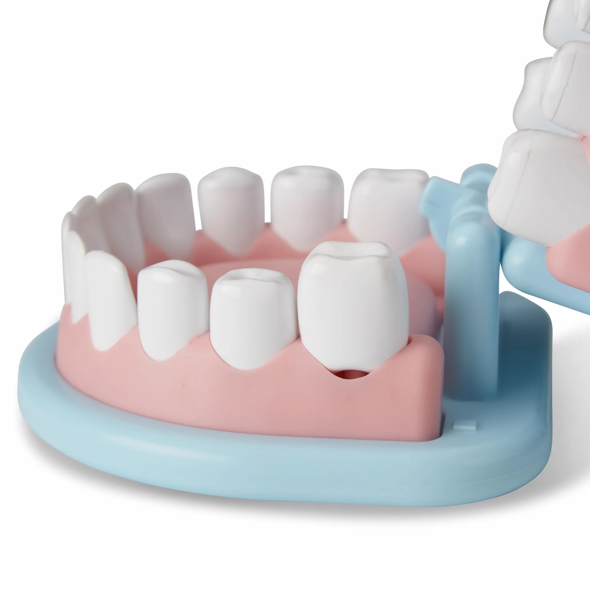 Melissa & Doug Zabawka zestaw dentysty, Drewniana zabawka, Zabawa w udawanie, Zabawki dentystyczne dla dzieci, Zabawki stomatologiczne, Montessori, 3+ lat, prezent dla chłopca lub dziewczynki