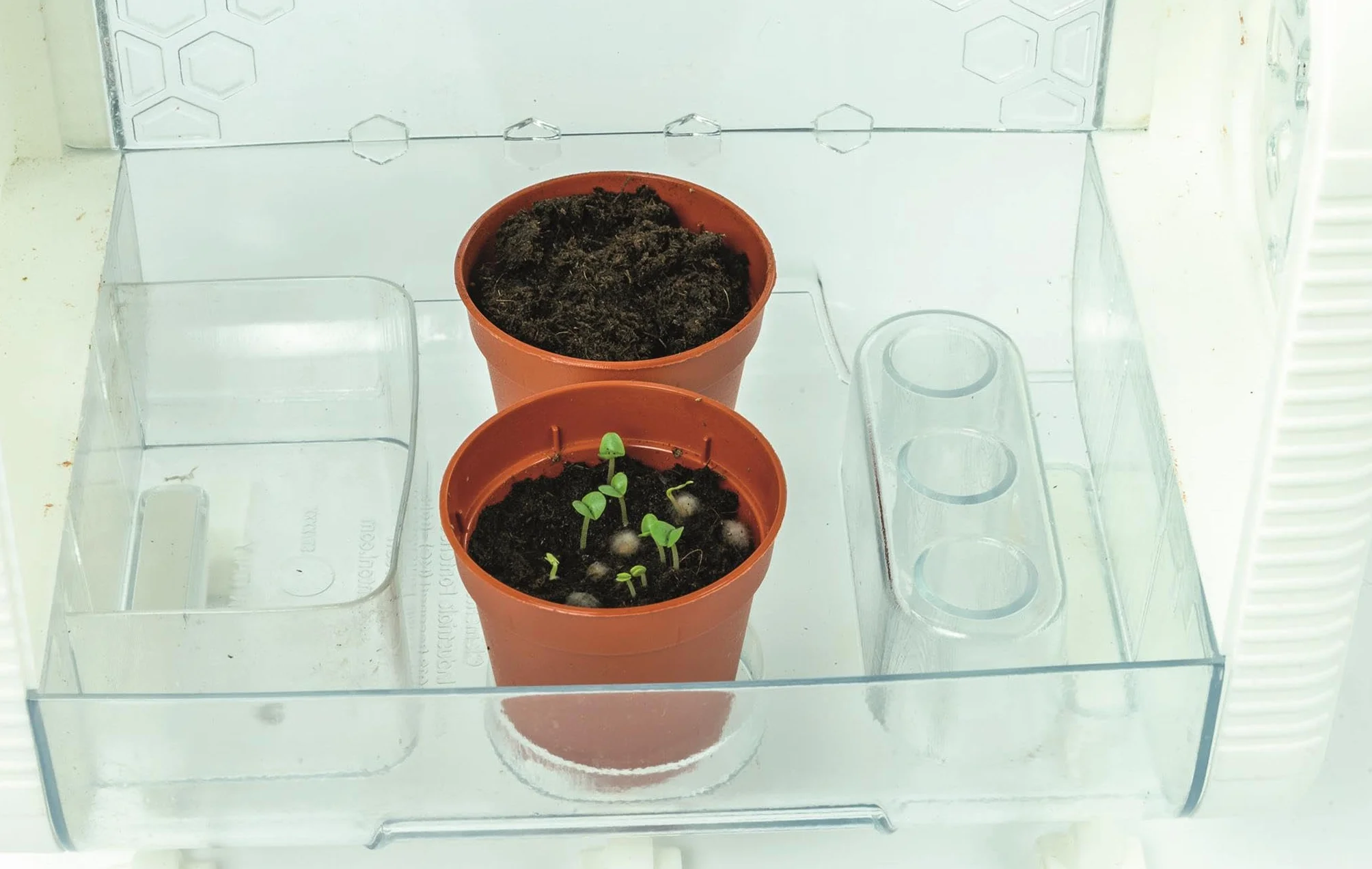 Clementoni Szklarnia technologiczna Zestaw botaniczny dla dzieci Eksperyment ogrodnictwo nauka Kontrola temperatury wilgotność światło Wyświetlacz LCD Wiek 8+