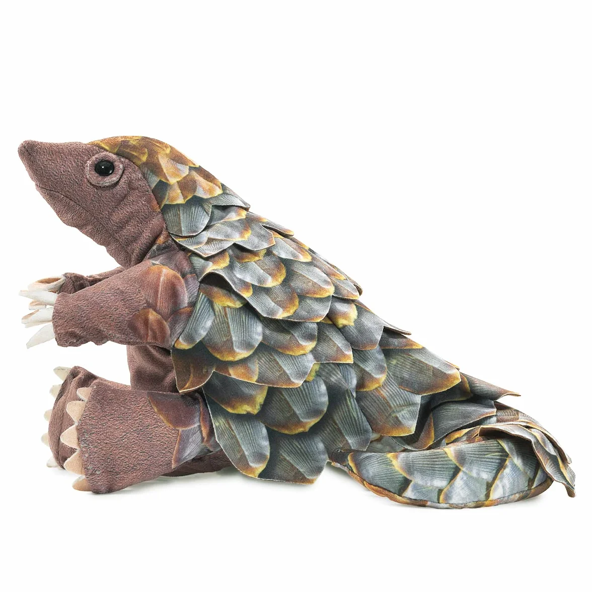Szyszki jodłowe/pangolin