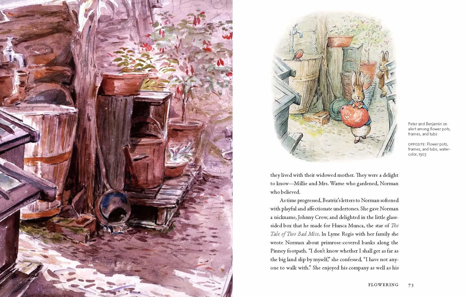 Beatrix Potter's Gardening Life: The Plants and Places That Inspired the Classic Children's Tales