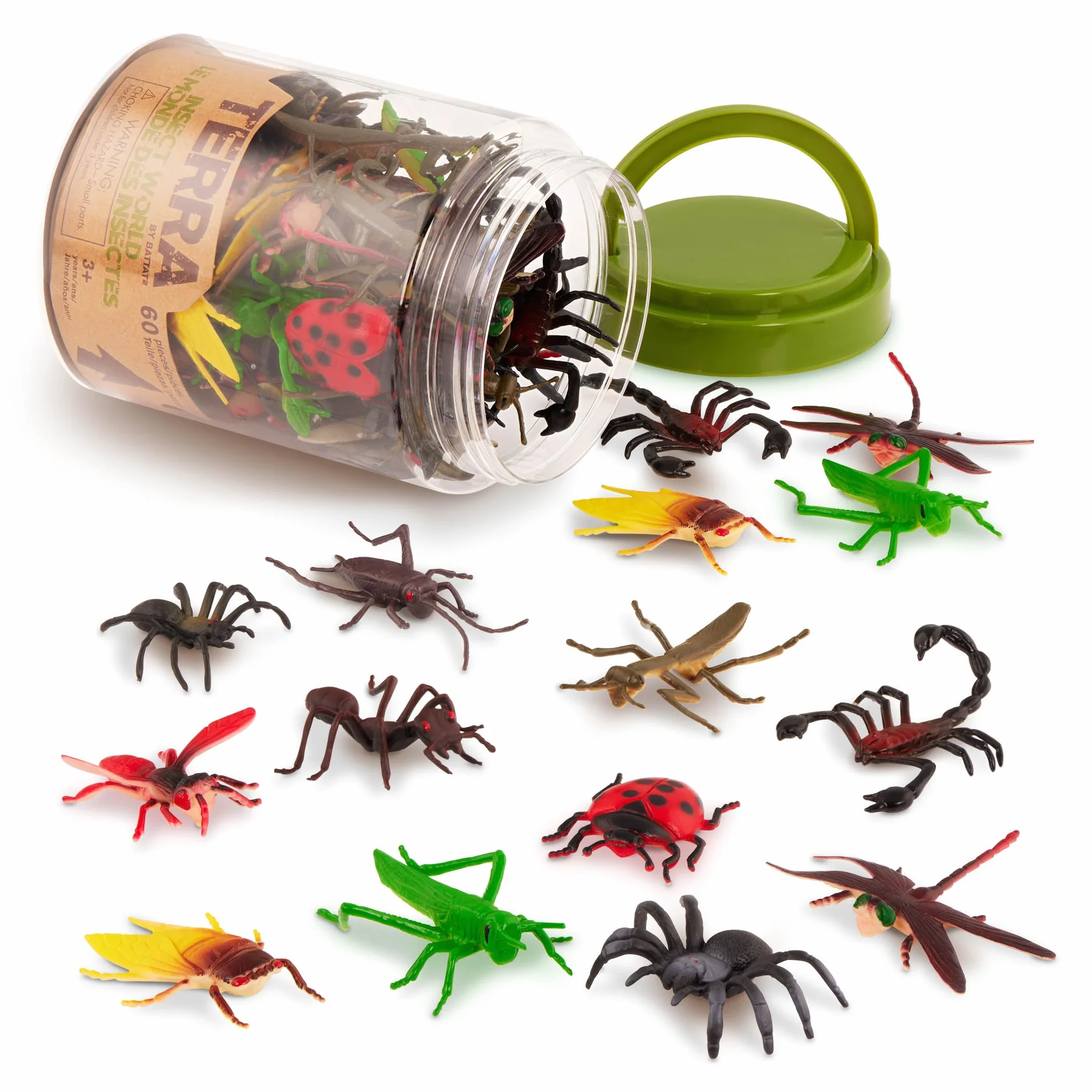INSECT WORLD, wielokolorowy