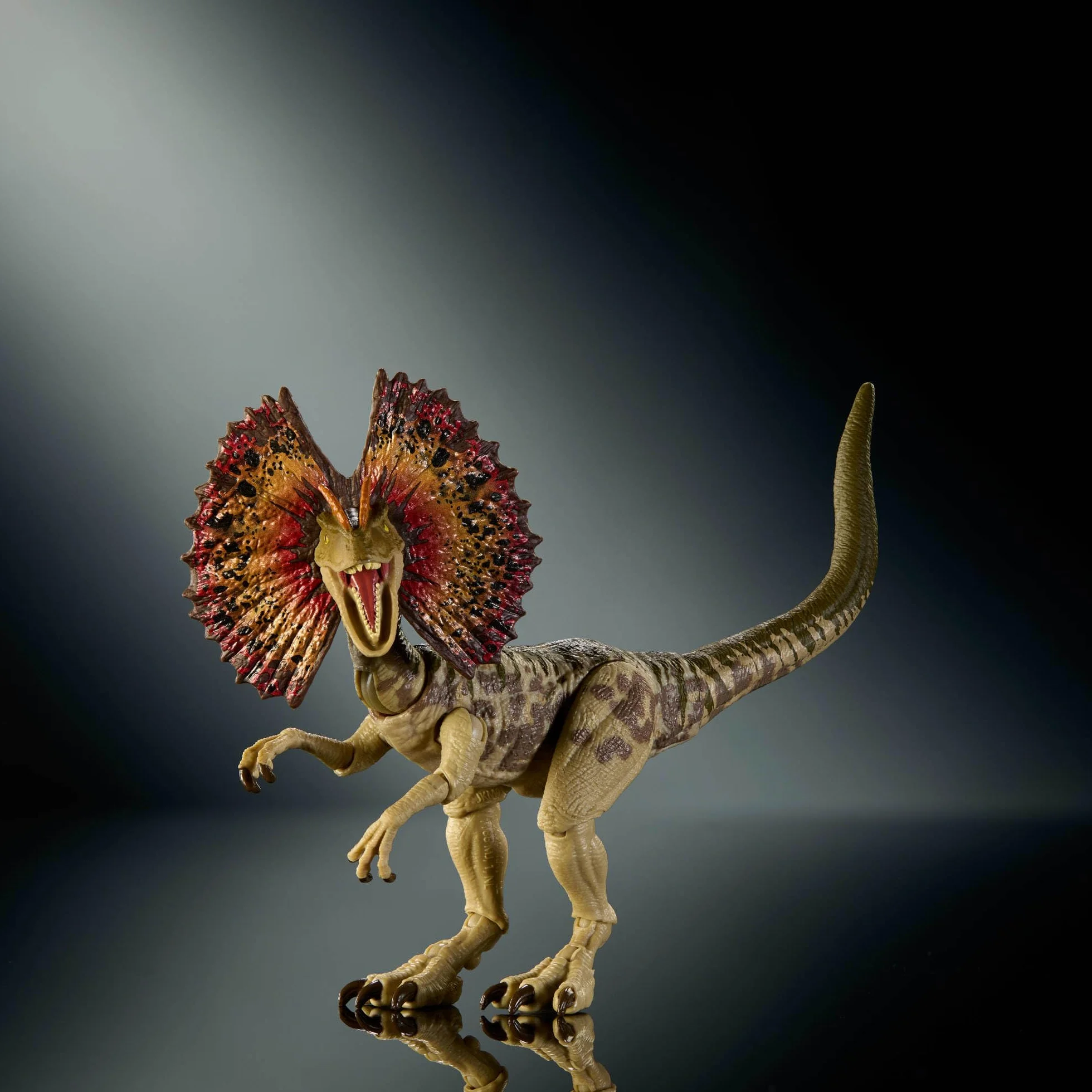 Jurassic World Kolekcja Hammonda Dilofozaur Dinozaur Figurka premium, realistyczne oczy, ruchome punkty i dodatkowa głowa, zabawka dla dzieci 8+, fanów i kolekcjonerów, JKM93