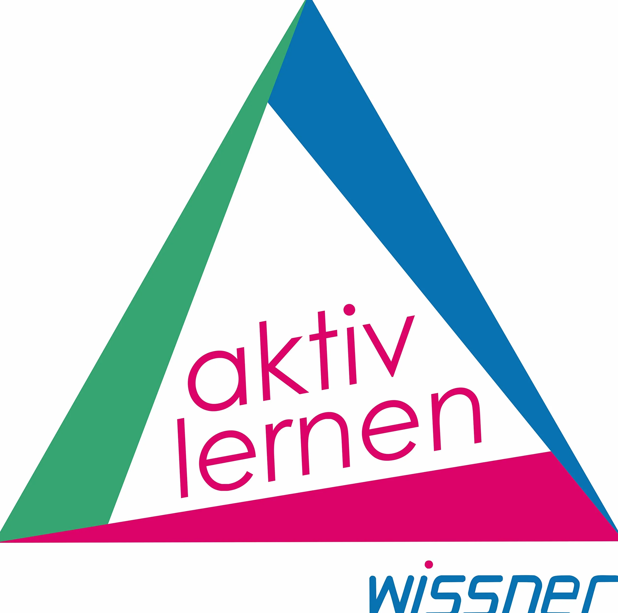 WISSNER active learning Płaskie, 10 sztuk, wykonane z drewna RE, w woreczku poliestrowym