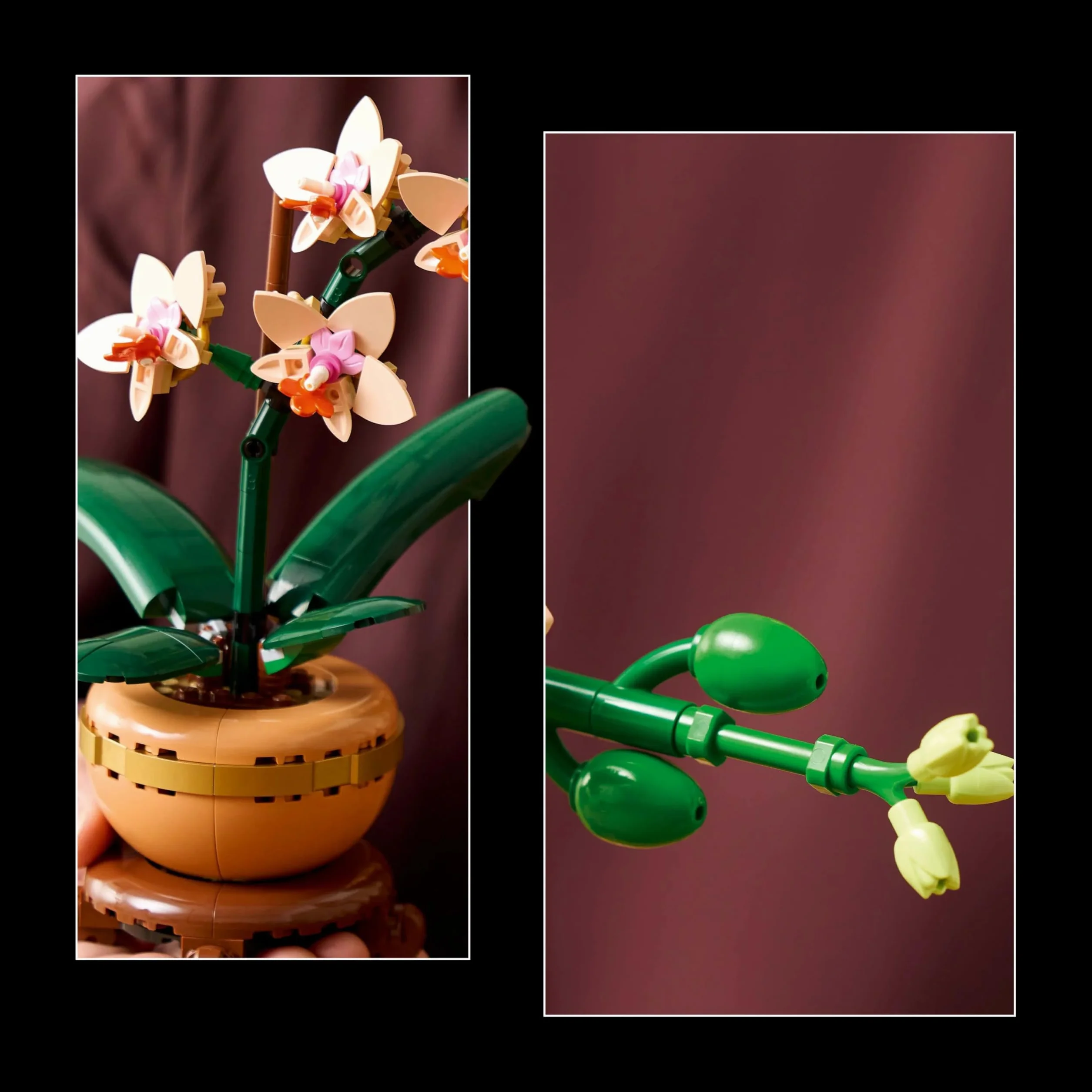 LEGO Botanicals Mała Orchidea, Kreatywny Zestaw dla Dorosłych Miłośników Roślin, Dekoracja do Domu i Biura ze Sztucznym Storczykiem w Doniczce, Pomysł na Prezent dla Kobiety i Mężczyzny, 10343