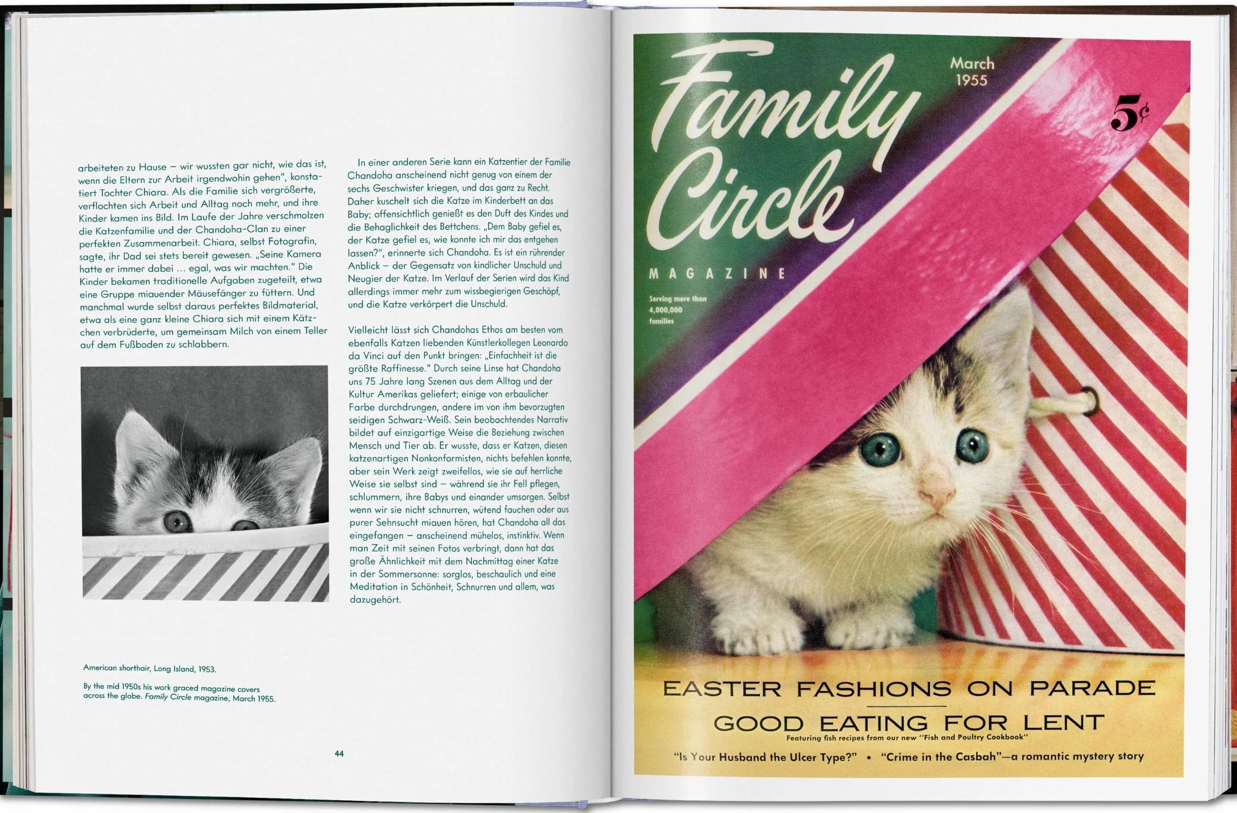 Cats: Photographs (1942-2018)