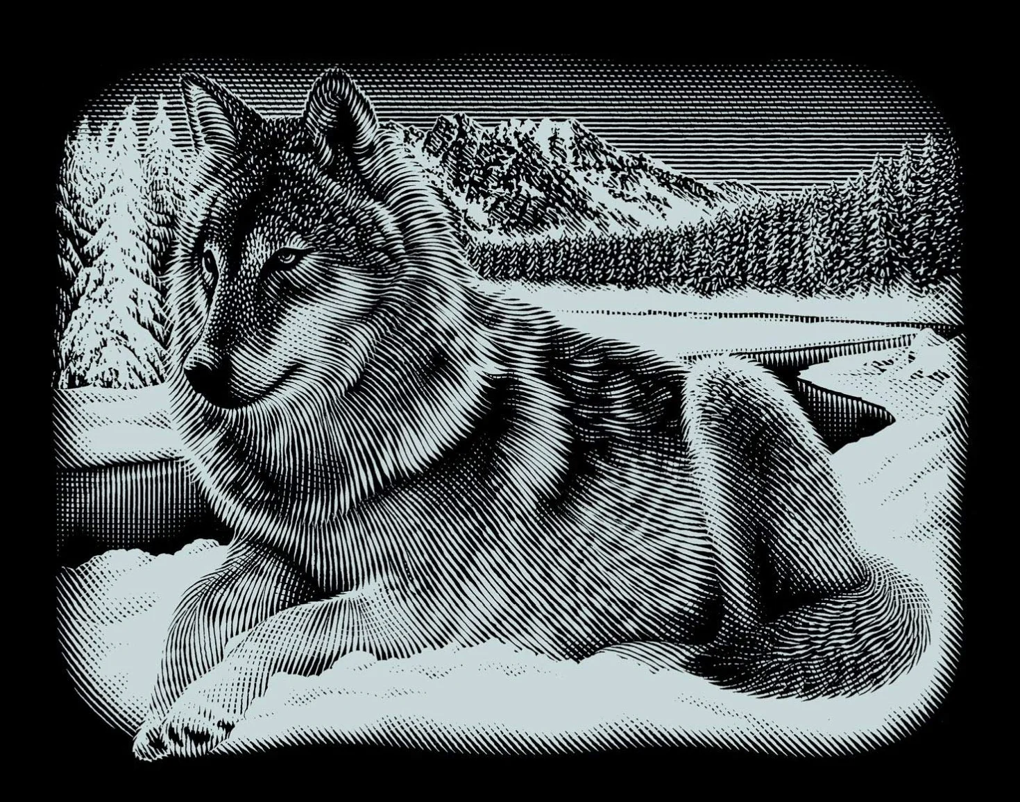 MAMMUT 137011 – obraz do zdrapywania, motyw wilka, srebrny, błyszczący, poprzeczny, kompletny zestaw z nożem do zdrapywania i arkuszem do ćwiczeń, skrobakiem, drapaniem, bazgrołem, zestaw do zdrapywania dla dzieci od 8 lat