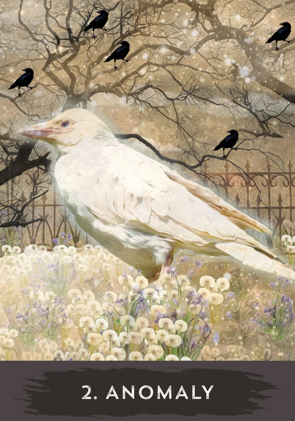 Urban Crow Oracle: A 54-Card Deck and Guidebook