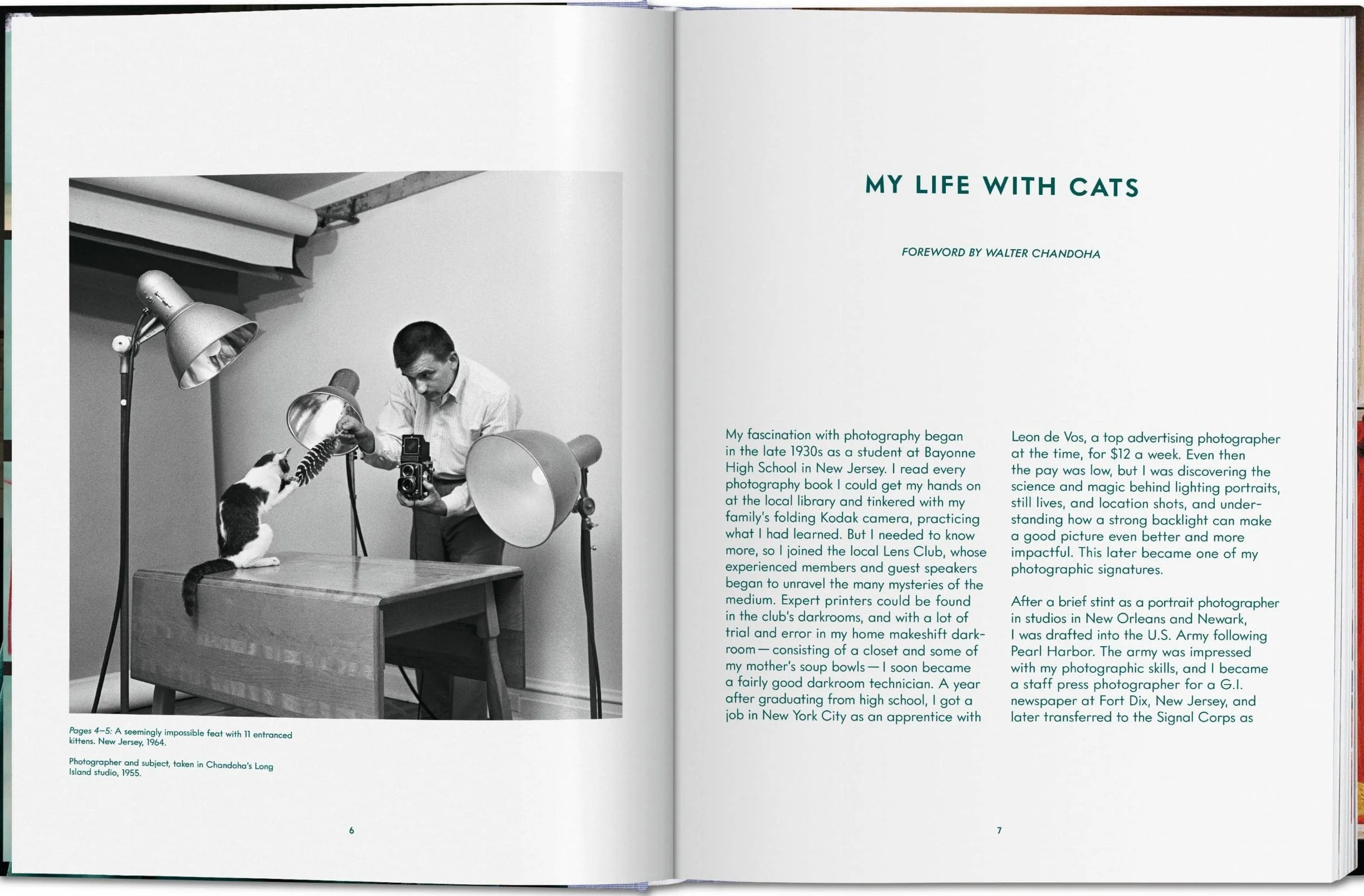 Cats: Photographs (1942-2018)