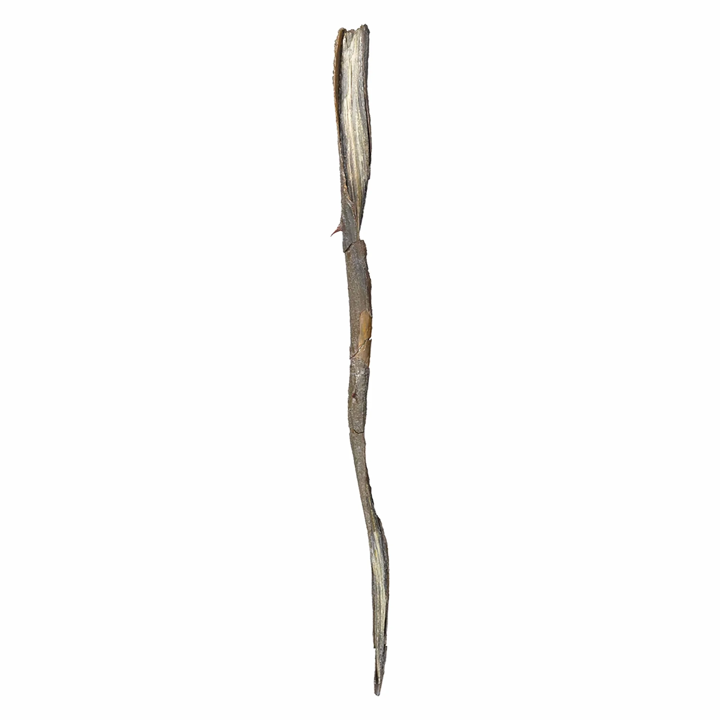 The Noble Collection – Gellert Grindelwald Postać Magiczna różdżka – Harry Potter różdżka ok. 15 cali (35 cm) – zestaw filmowy Harry Potter rekwizyty filmowe różdżki