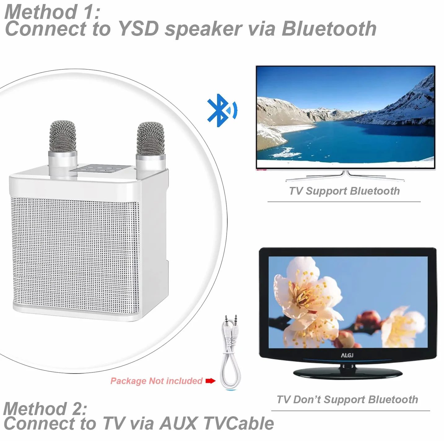 Zestaw do karaoke Bluetooth 2 mikrofony bezprzewodowy głośnik