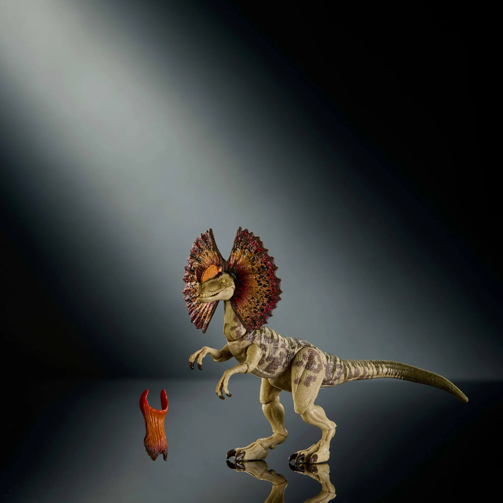 Jurassic World Kolekcja Hammonda Dilofozaur Dinozaur Figurka premium, realistyczne oczy, ruchome punkty i dodatkowa głowa, zabawka dla dzieci 8+, fanów i kolekcjonerów, JKM93