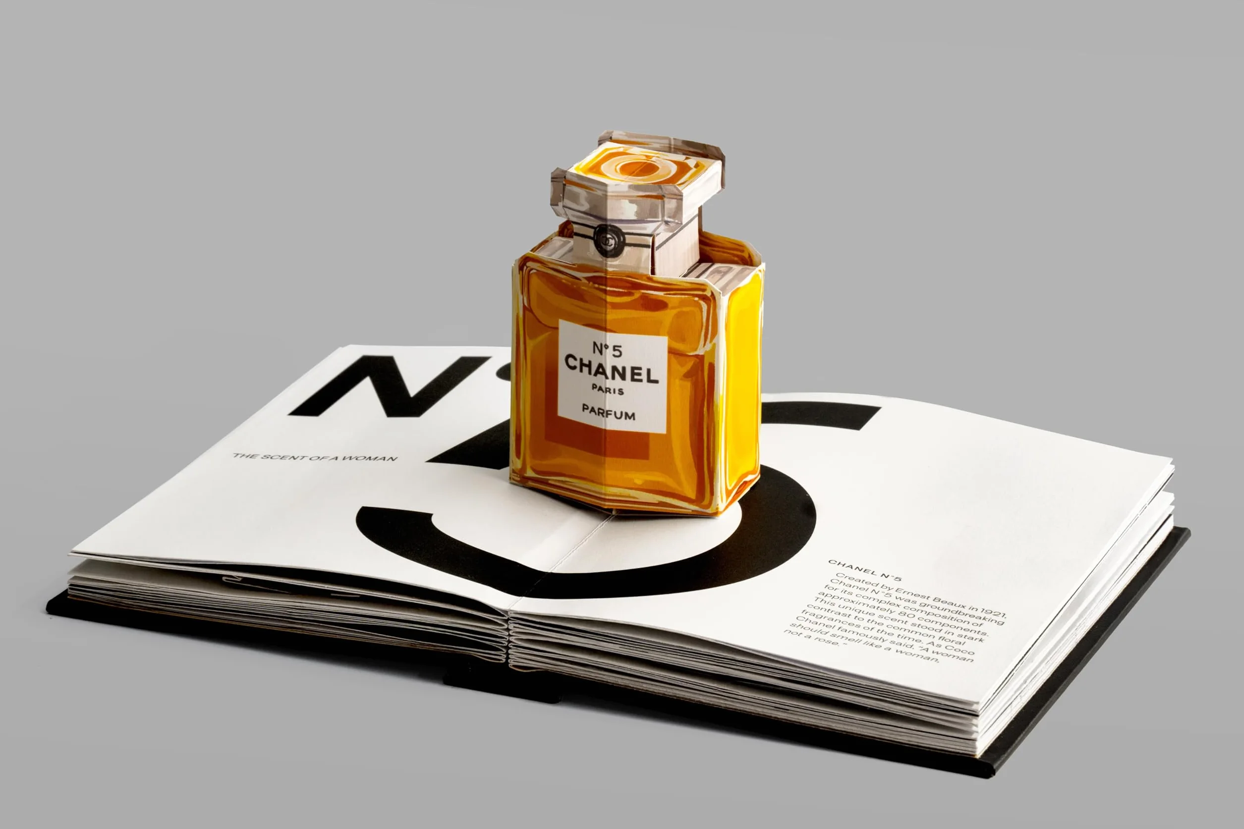Fashion Unfolded - Chanel /anglais: 1