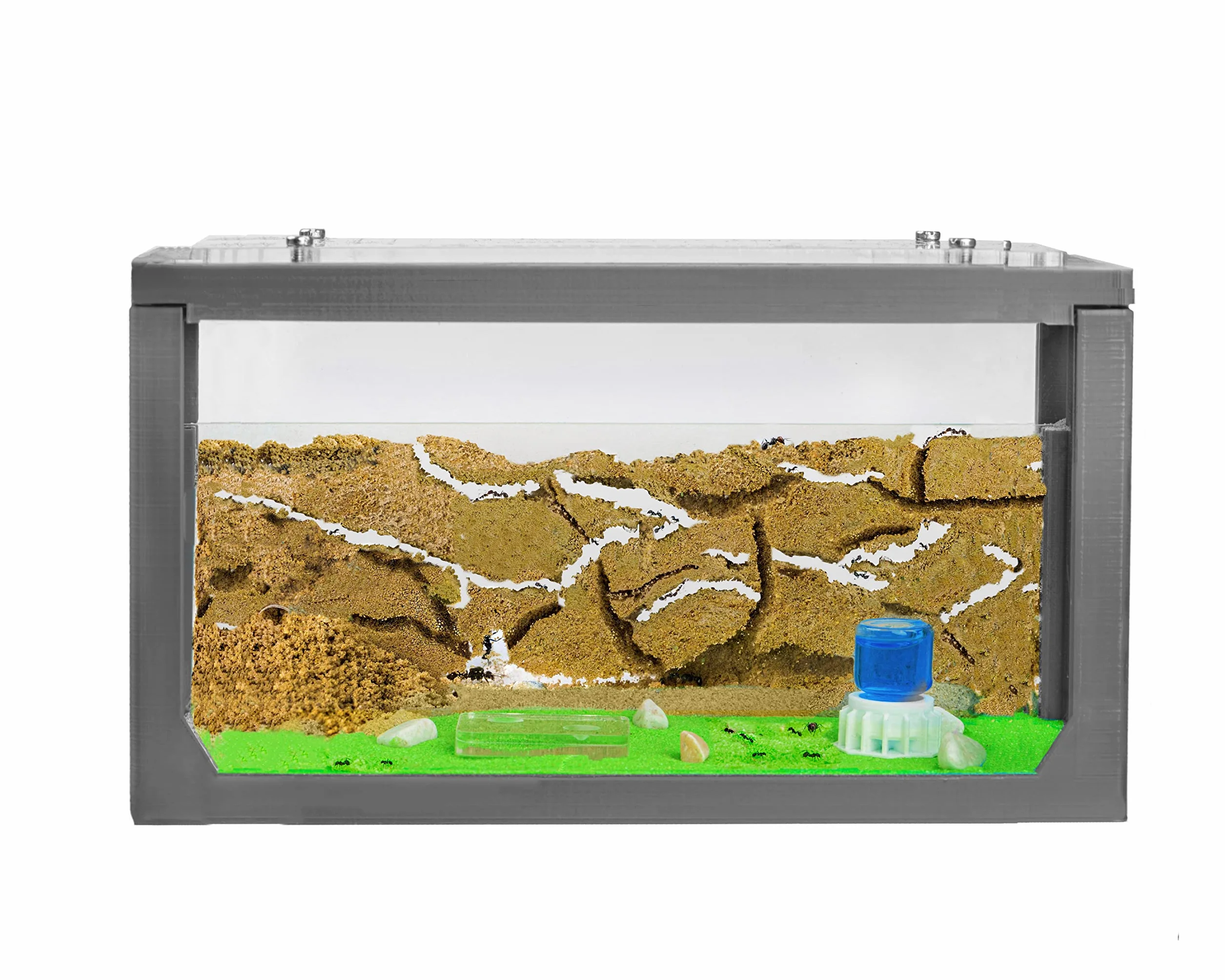 AntHouse farma mrówek zestaw startowy 3D szara 20 x 10 x 10 cm
