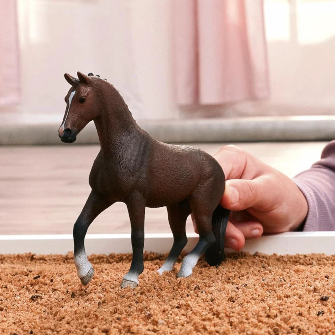 schleich HORSE CLUB | KWPN Wałach 14919 | szczegółowy koń | Prezent dziewczynkom i chłopcom | Dekoracja i kolekcjonerska figurka | Zabawki koni od 5 lat | 14 x 4 x 11 cm