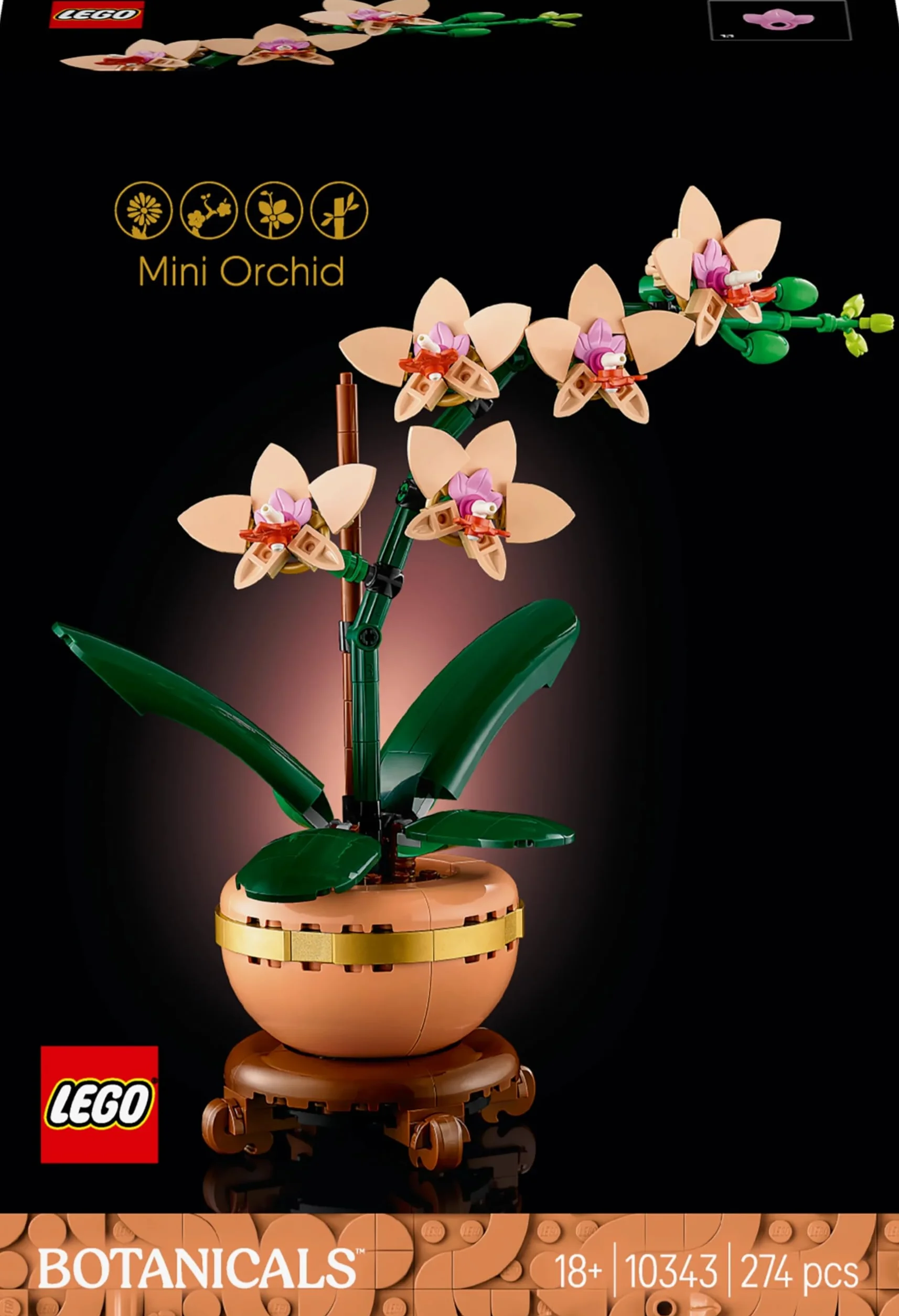 LEGO Botanicals Mała Orchidea, Kreatywny Zestaw dla Dorosłych Miłośników Roślin, Dekoracja do Domu i Biura ze Sztucznym Storczykiem w Doniczce, Pomysł na Prezent dla Kobiety i Mężczyzny, 10343