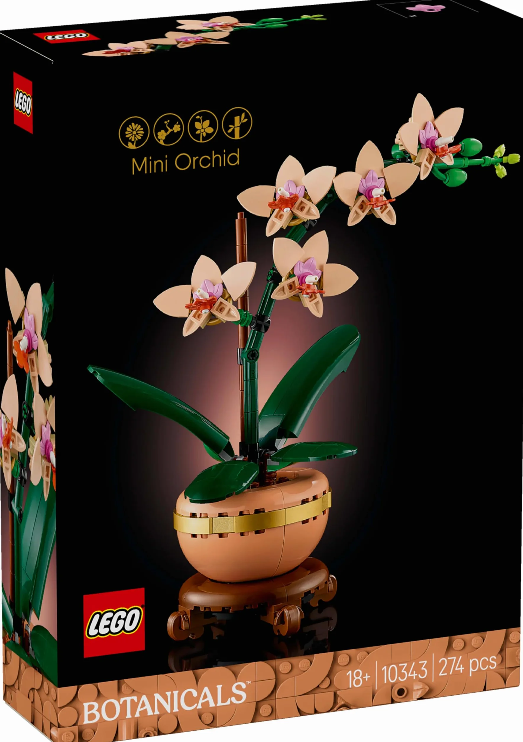 LEGO Botanicals Mała Orchidea, Kreatywny Zestaw dla Dorosłych Miłośników Roślin, Dekoracja do Domu i Biura ze Sztucznym Storczykiem w Doniczce, Pomysł na Prezent dla Kobiety i Mężczyzny, 10343