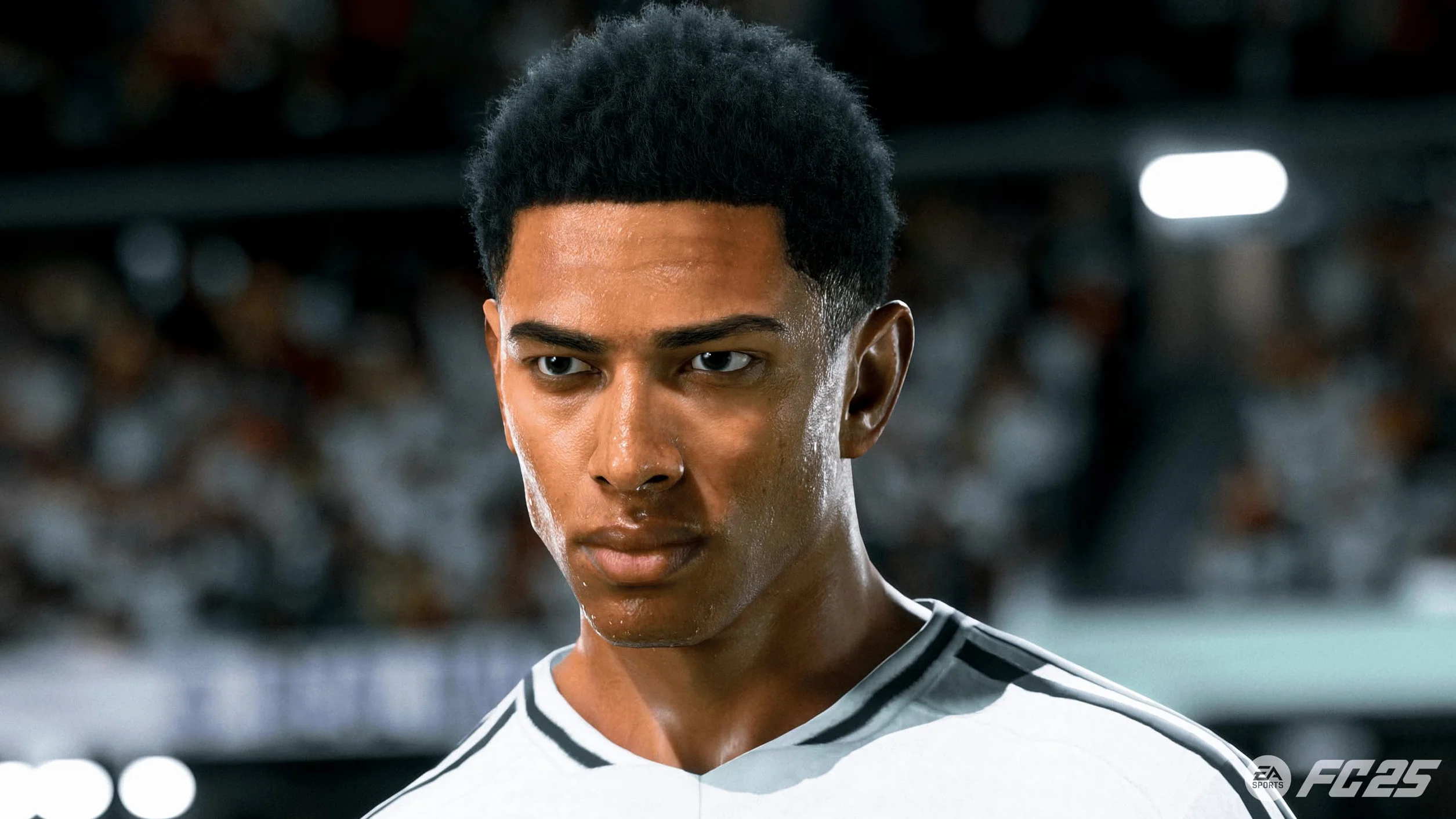 Electronic Arts Gra wideo Playstation 4 FC25 – marka EAN: 5030936125374
