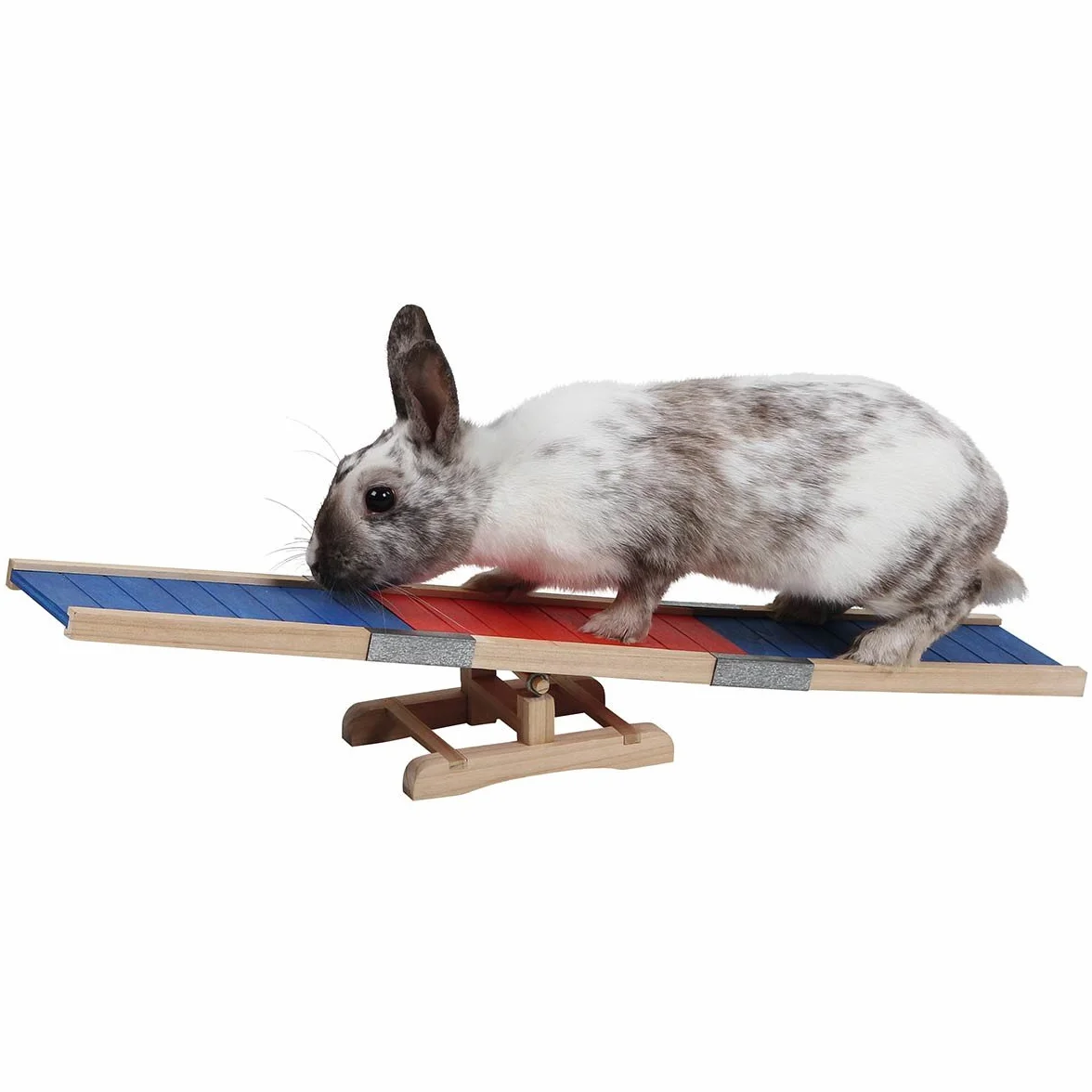 Kerbl Agility Rocker 60 x 18 x 12 cm
