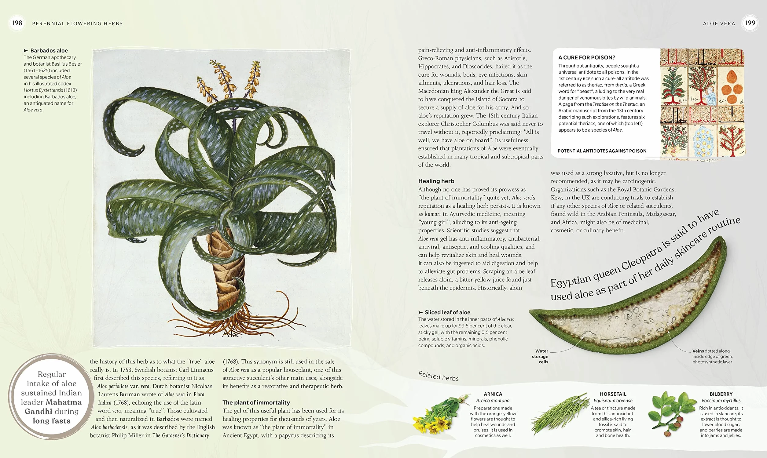 The Herb Book: The Stories, Science, and History of Herbs