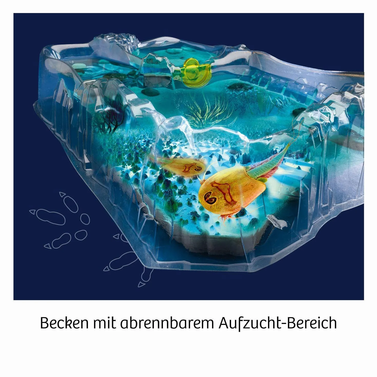 Fun Science Triops züchten Experimentierkasten