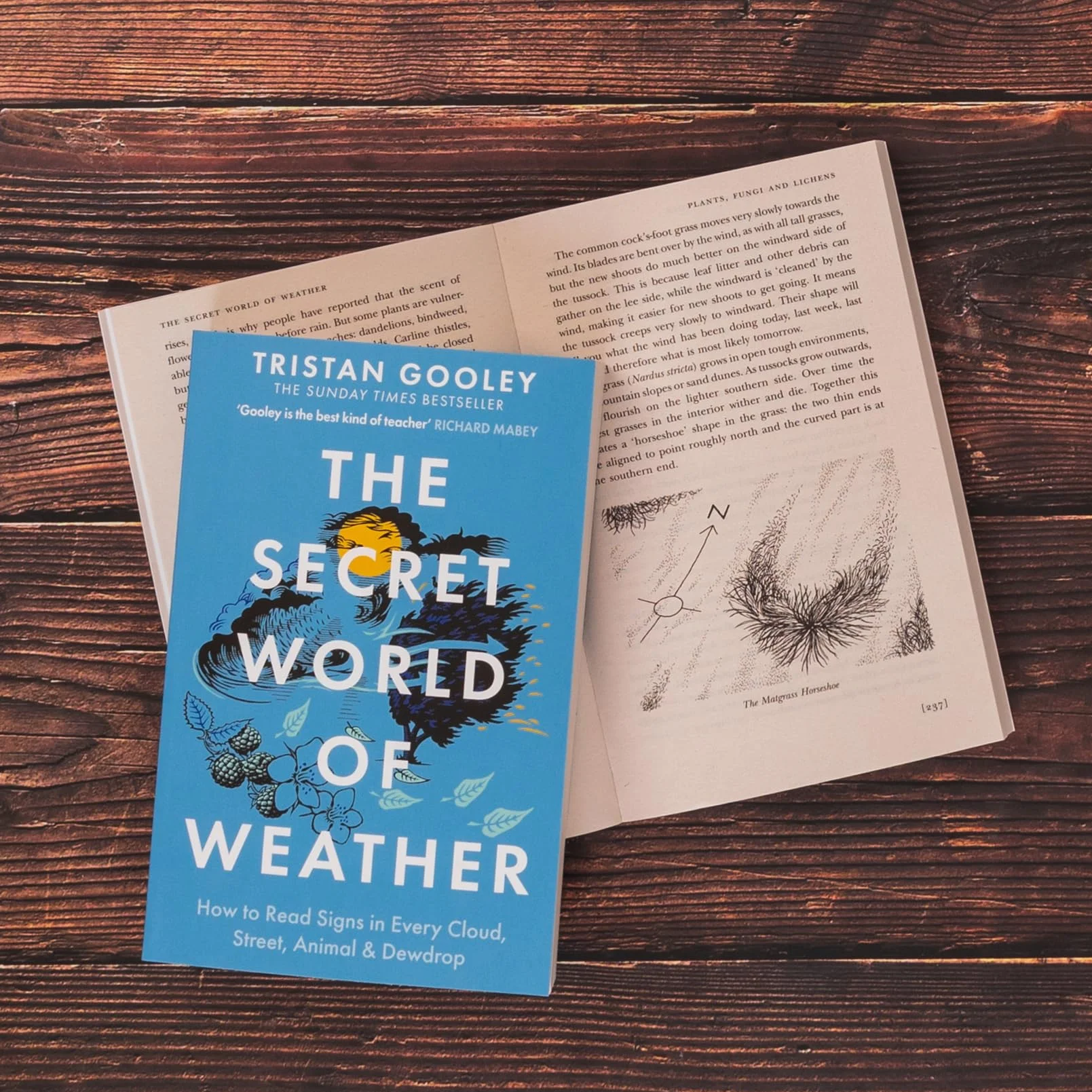 The Secret World of Weather: A must-have for all nature lovers - perfect reading for your springtime adventures
