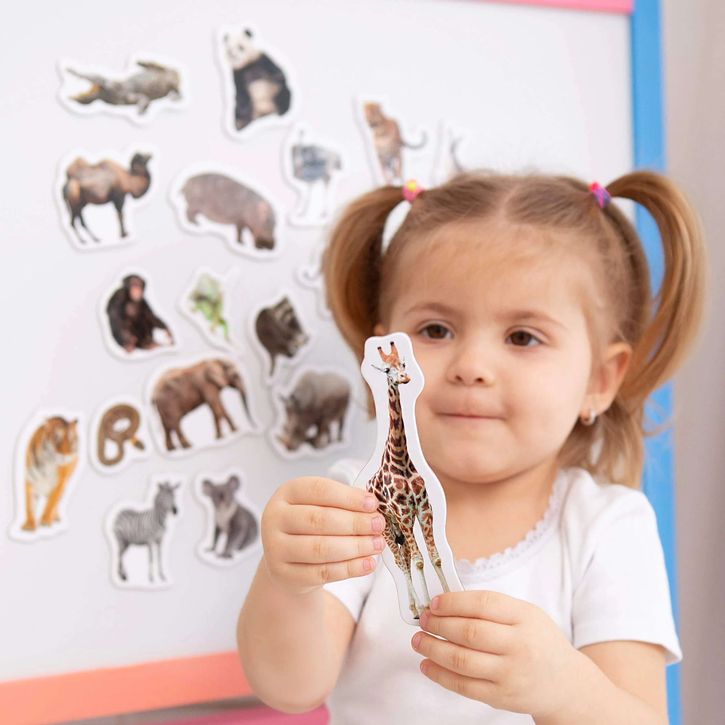 Magnesy ze zdjęciami zwierząt z ZOO dla dziecka - duże magnesy na lodówkę - edukacyjne zabawki magnetyczne dla 3-latków