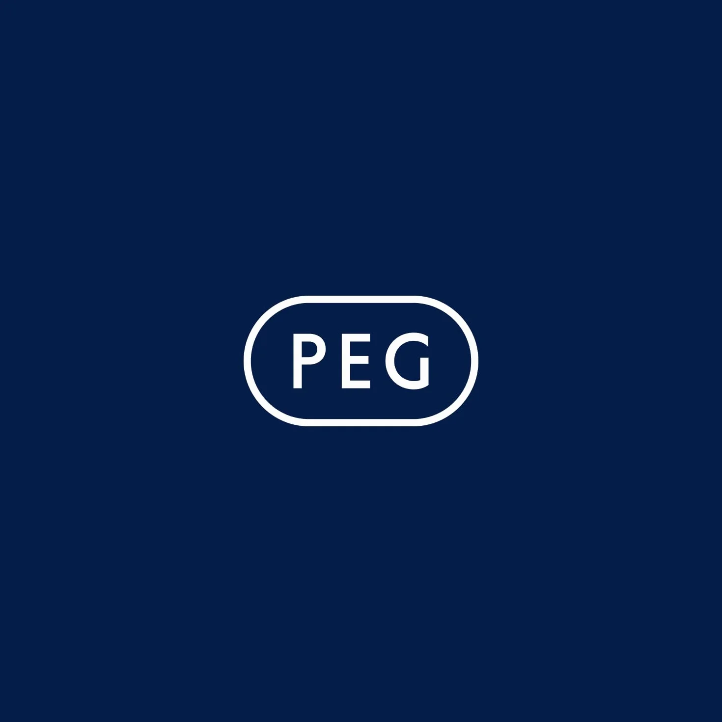 Peg Perego Bateria 24 V 12 Ah