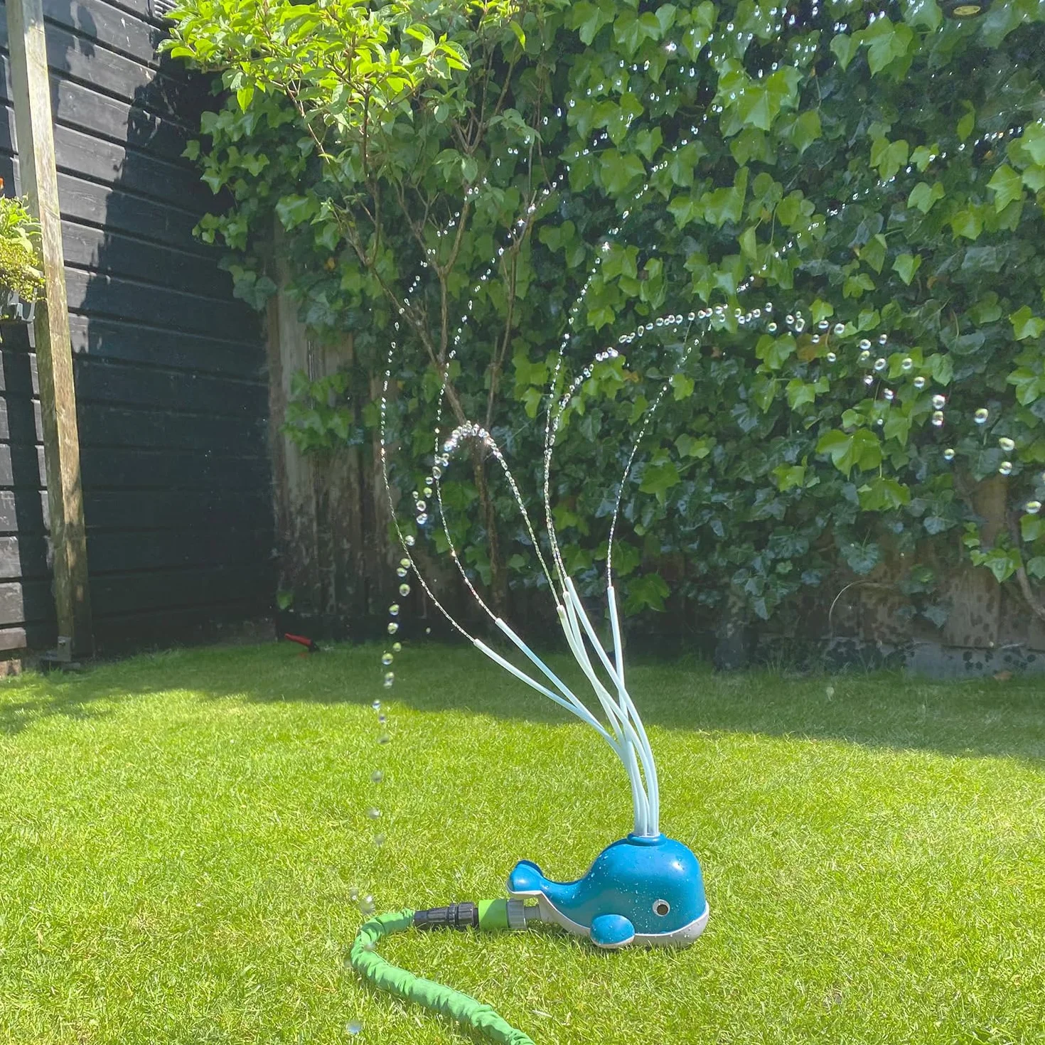 BS Toys Wieloryb wodny - Gry wodne - Zabawki wodne dla dzieci - Zraszacze - Gry na świeżym powietrzu - Zabawki ogrodowe - Odpowiedni dla dzieci od 3 lat - 22,5 x 14 x 11 cm - Niebieski